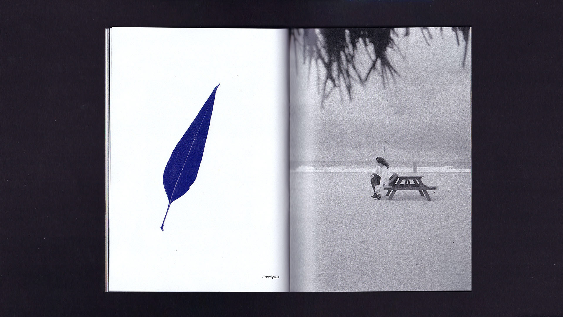 Beachscapes zine — Изображение №12 — Графика на Dprofile