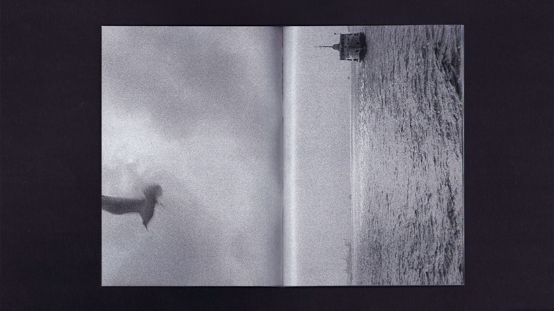 Beachscapes zine — Изображение №5 — Графика на Dprofile