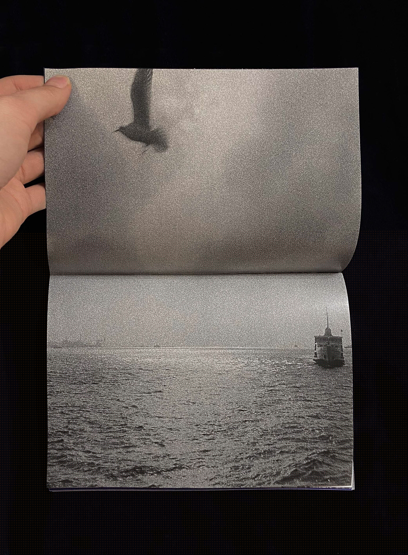 Beachscapes zine — Изображение №20 — Графика на Dprofile