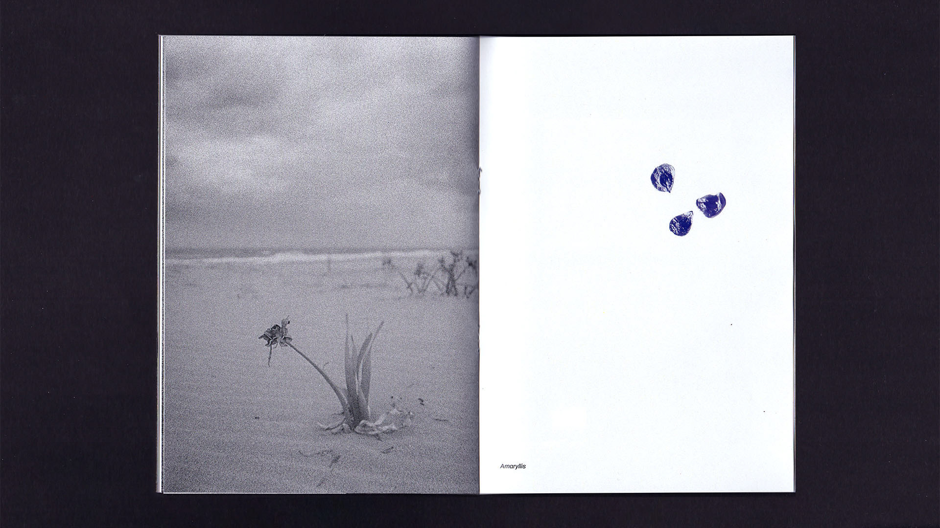 Beachscapes zine — Изображение №10 — Графика на Dprofile