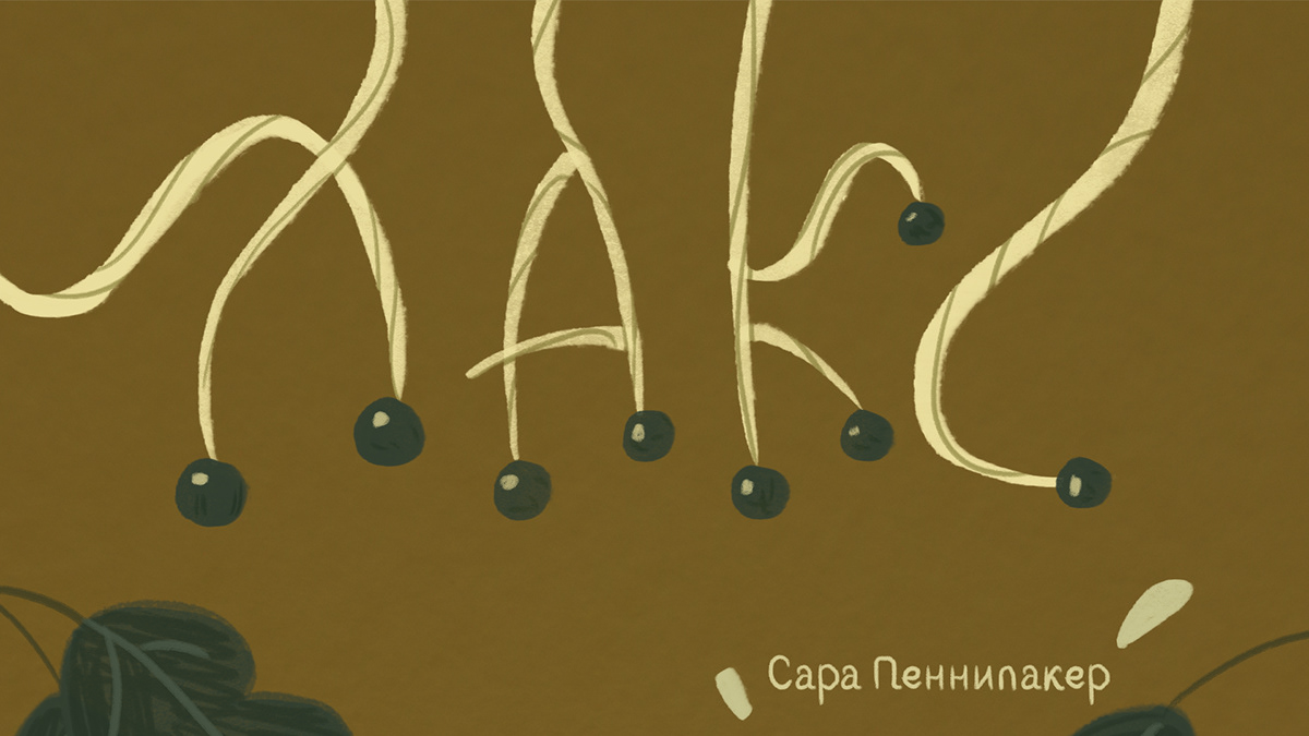 Обложки и леттеринг для детских книг — Изображение №2 — Иллюстрация на Dprofile