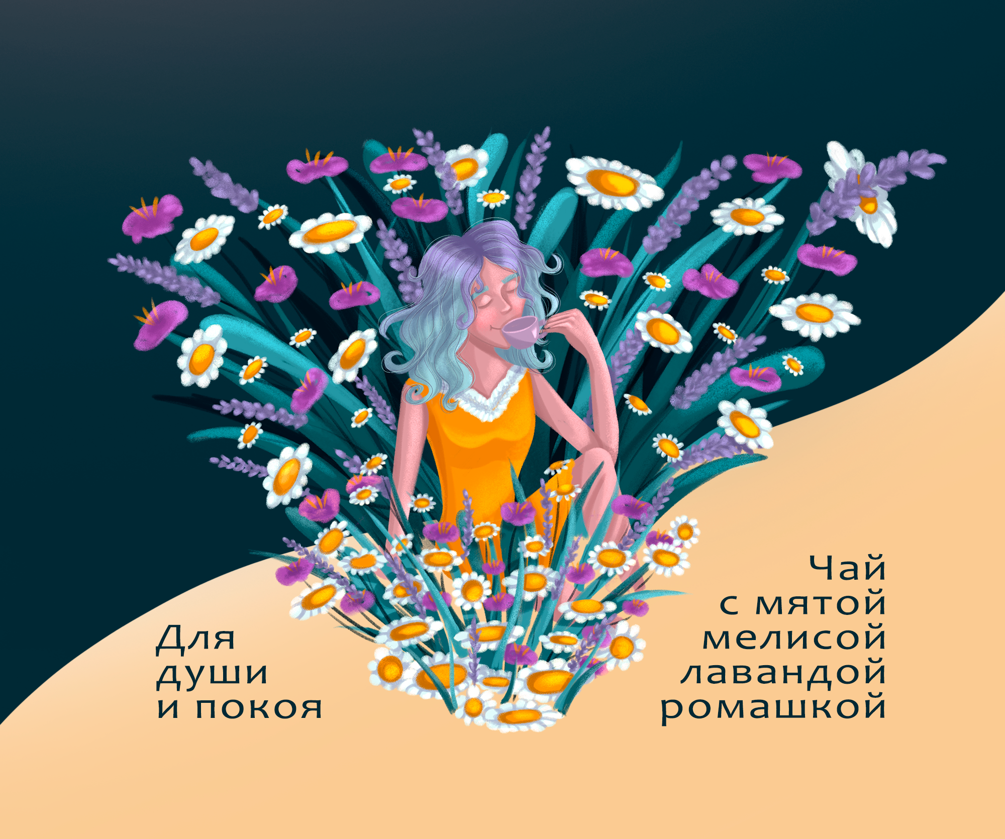 Иллюстрации и леттеринг для упаковки травяного чая — Изображение №6 — Иллюстрация, Графика на Dprofile
