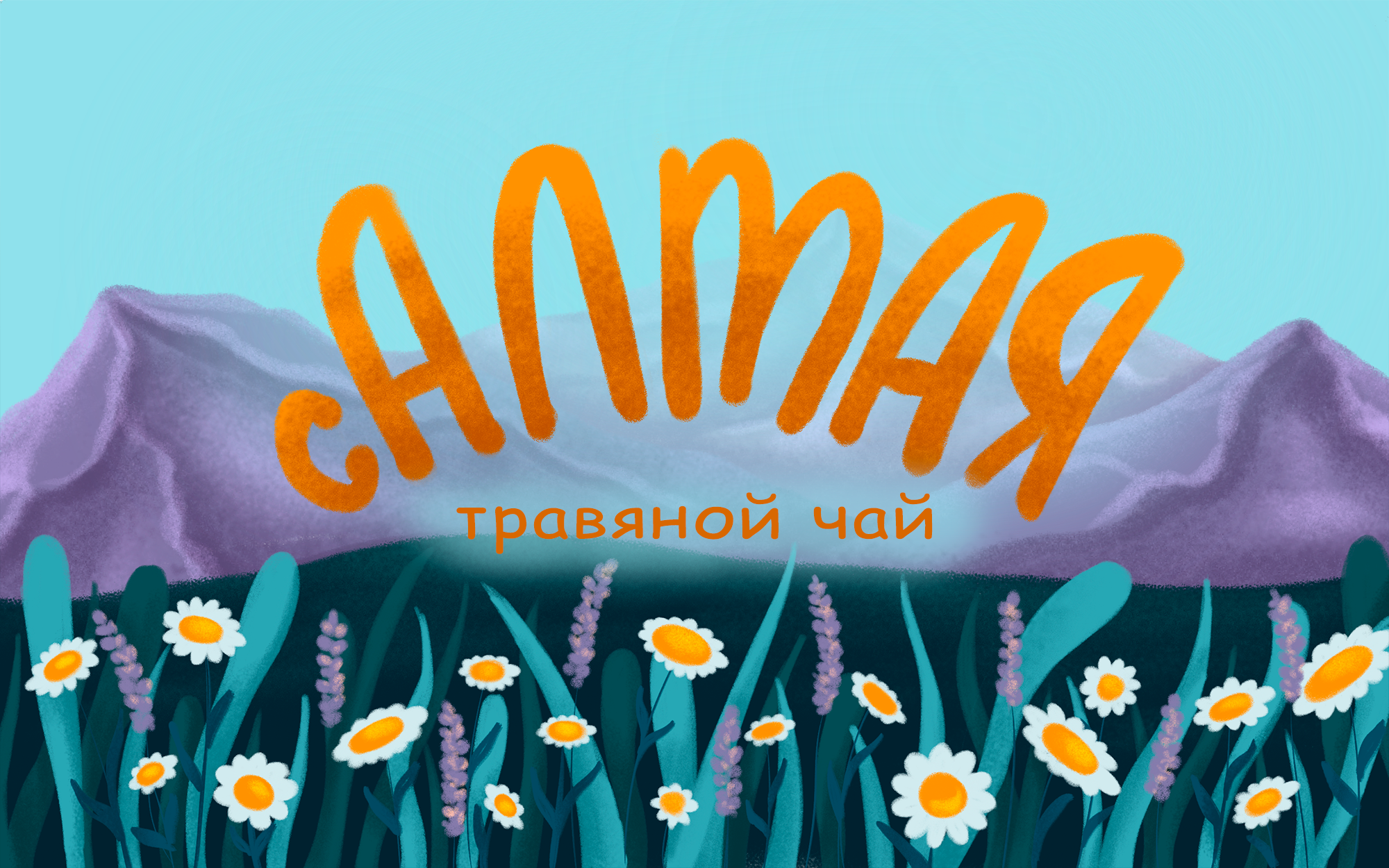 Иллюстрации и леттеринг для упаковки травяного чая — Изображение №1 — Иллюстрация, Графика на Dprofile