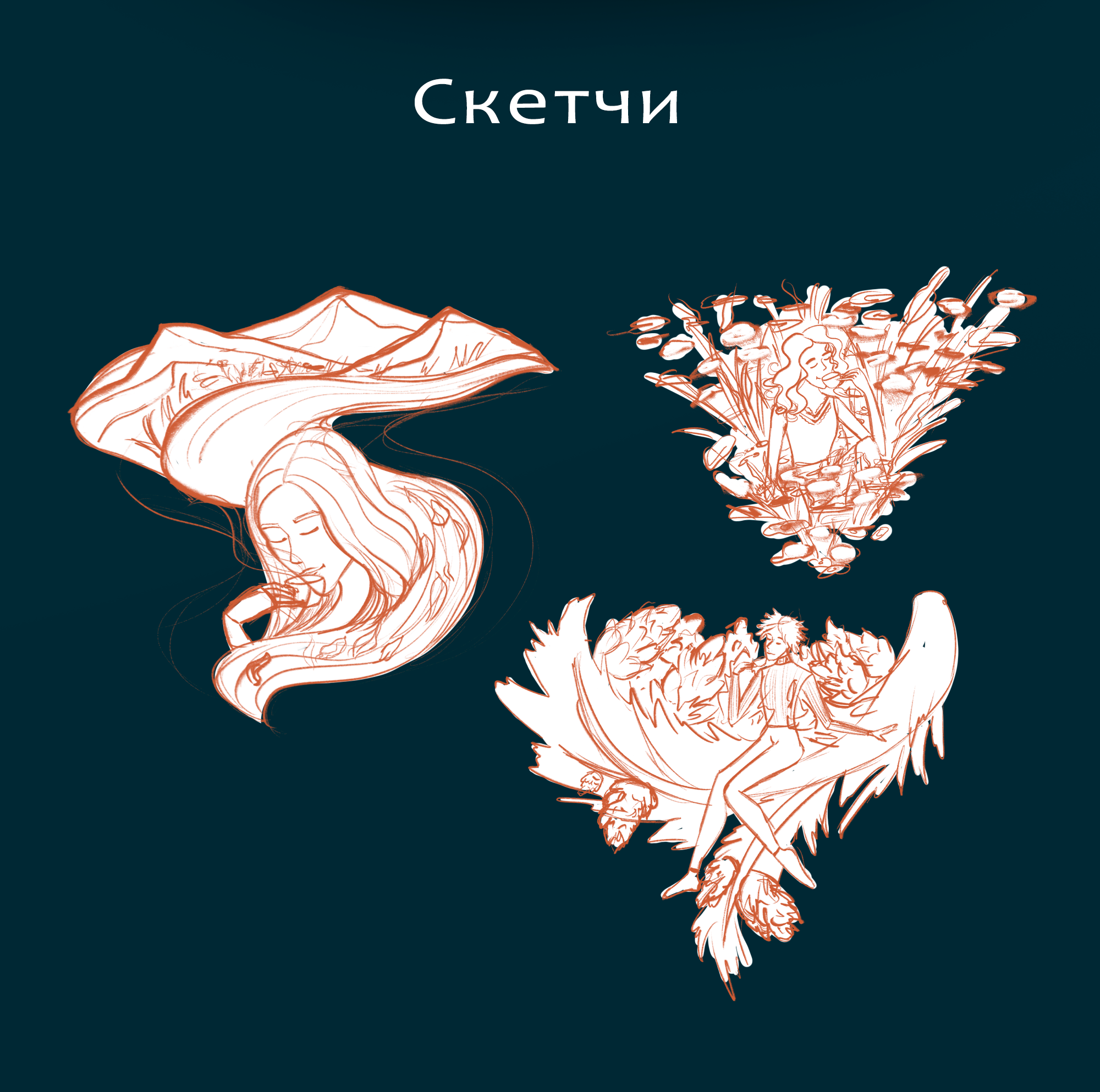 Иллюстрации и леттеринг для упаковки травяного чая — Изображение №3 — Иллюстрация, Графика на Dprofile
