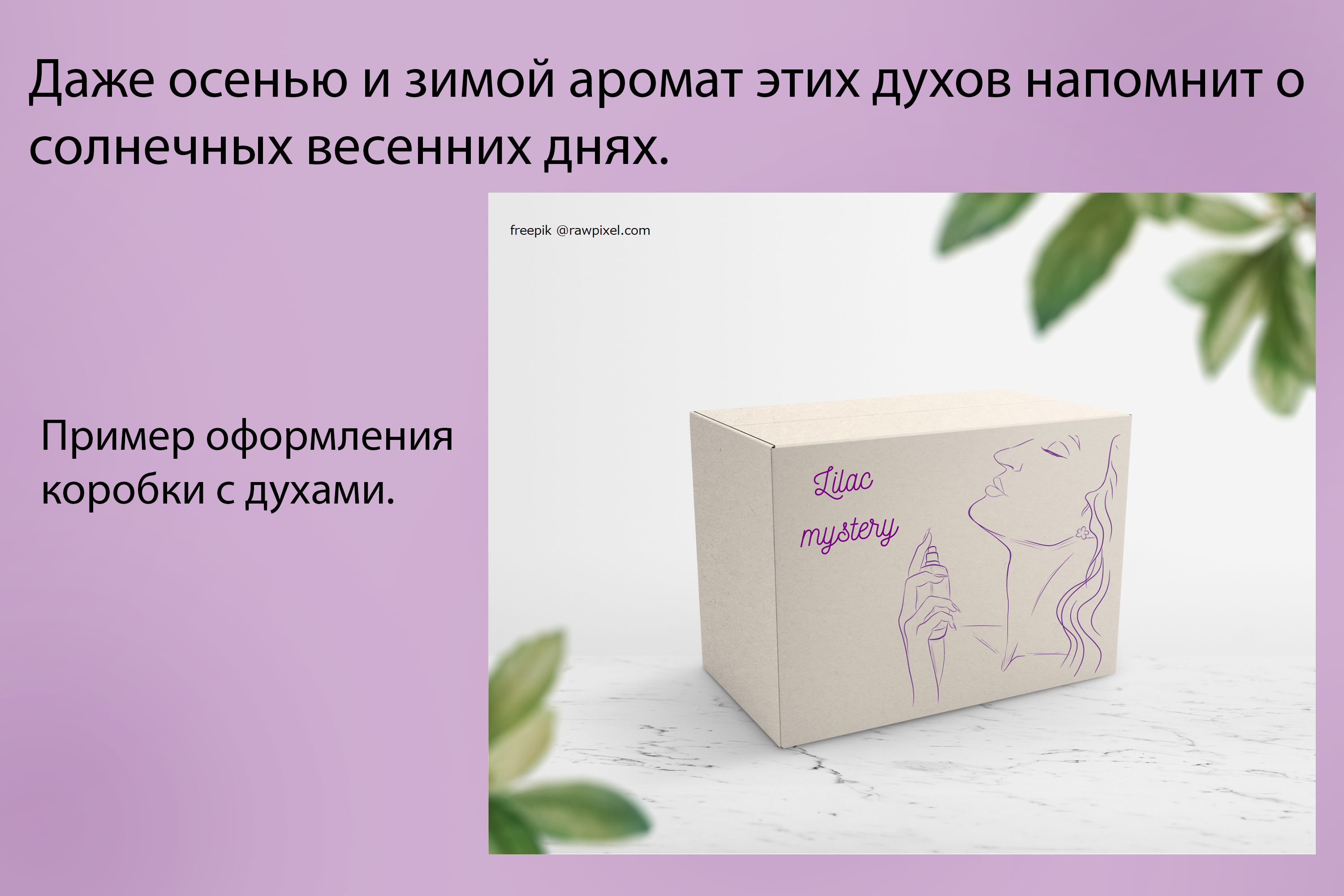 Фэшн-иллюстрация для бренда духов — Изображение №3 — Брендинг, Иллюстрация на Dprofile