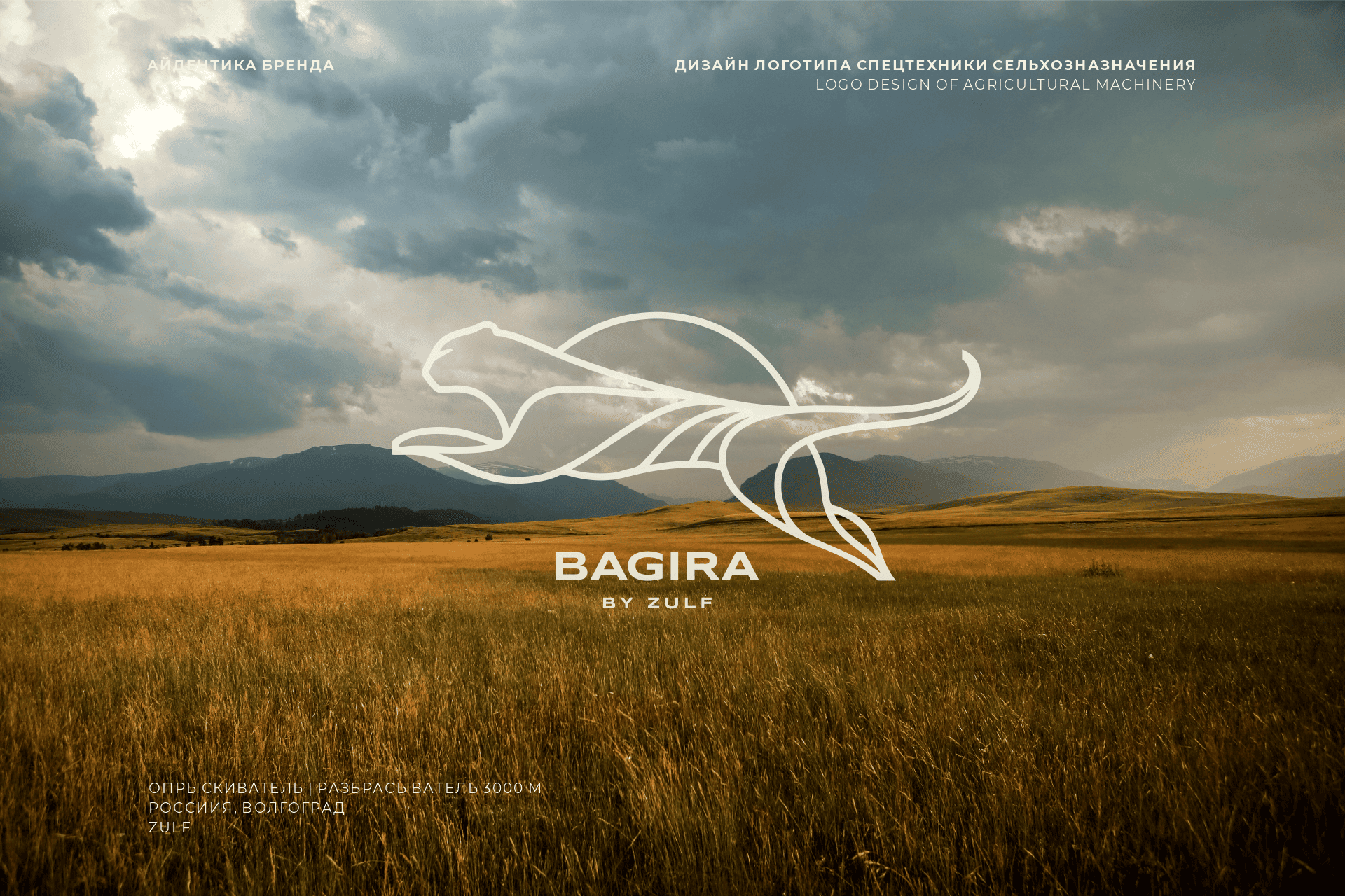 Дизайн логотипа и айдентики для сельхозтехники BAGIRA — Изображение №1 — Брендинг на Dprofile