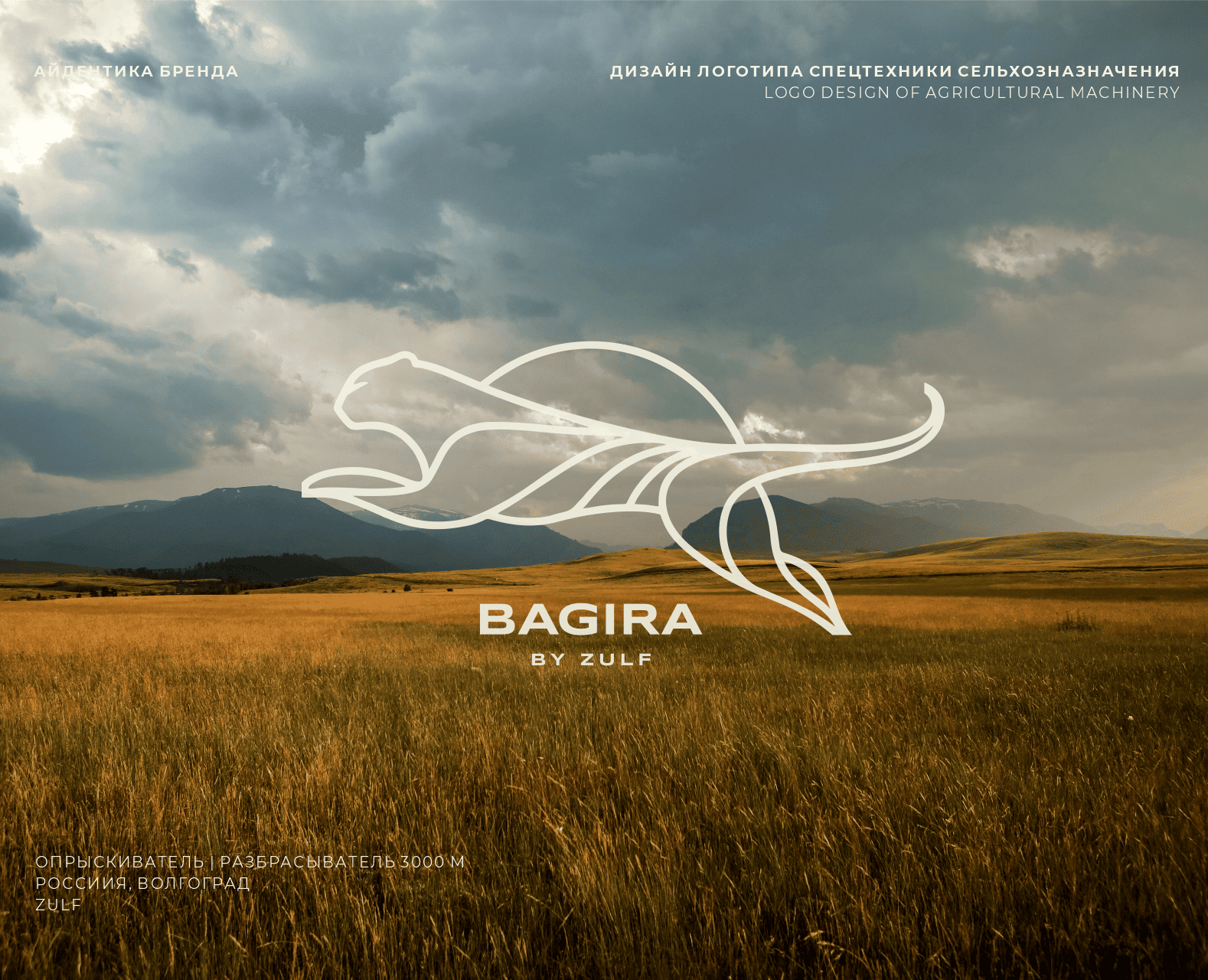 Дизайн логотипа и айдентики для сельхозтехники BAGIRA — Брендинг на Dprofile