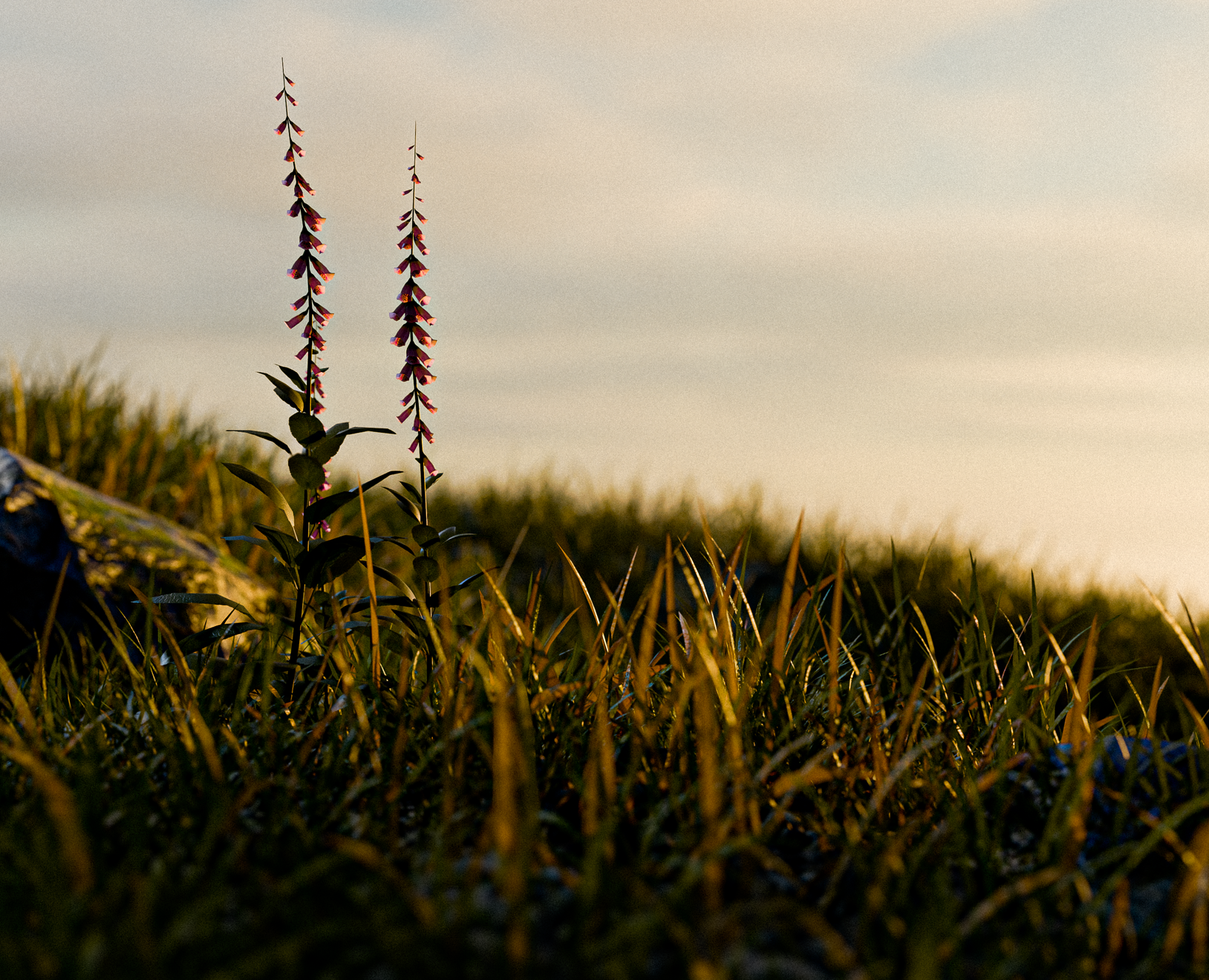 Nature — 3D на Dprofile