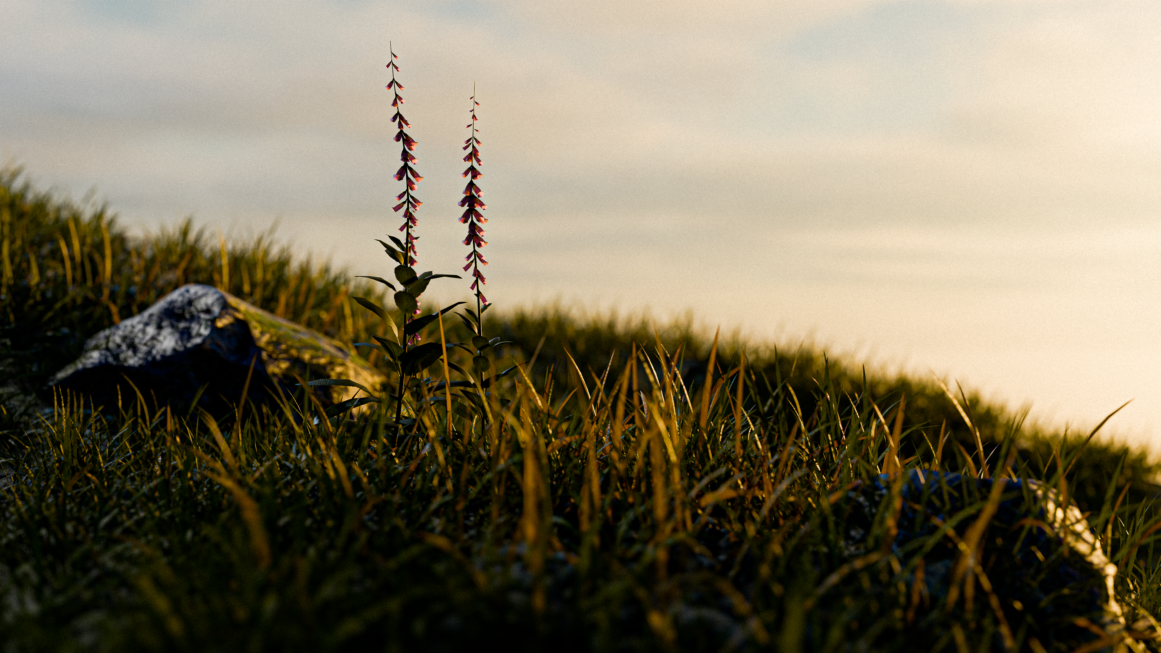 Nature — Изображение №6 — 3D на Dprofile