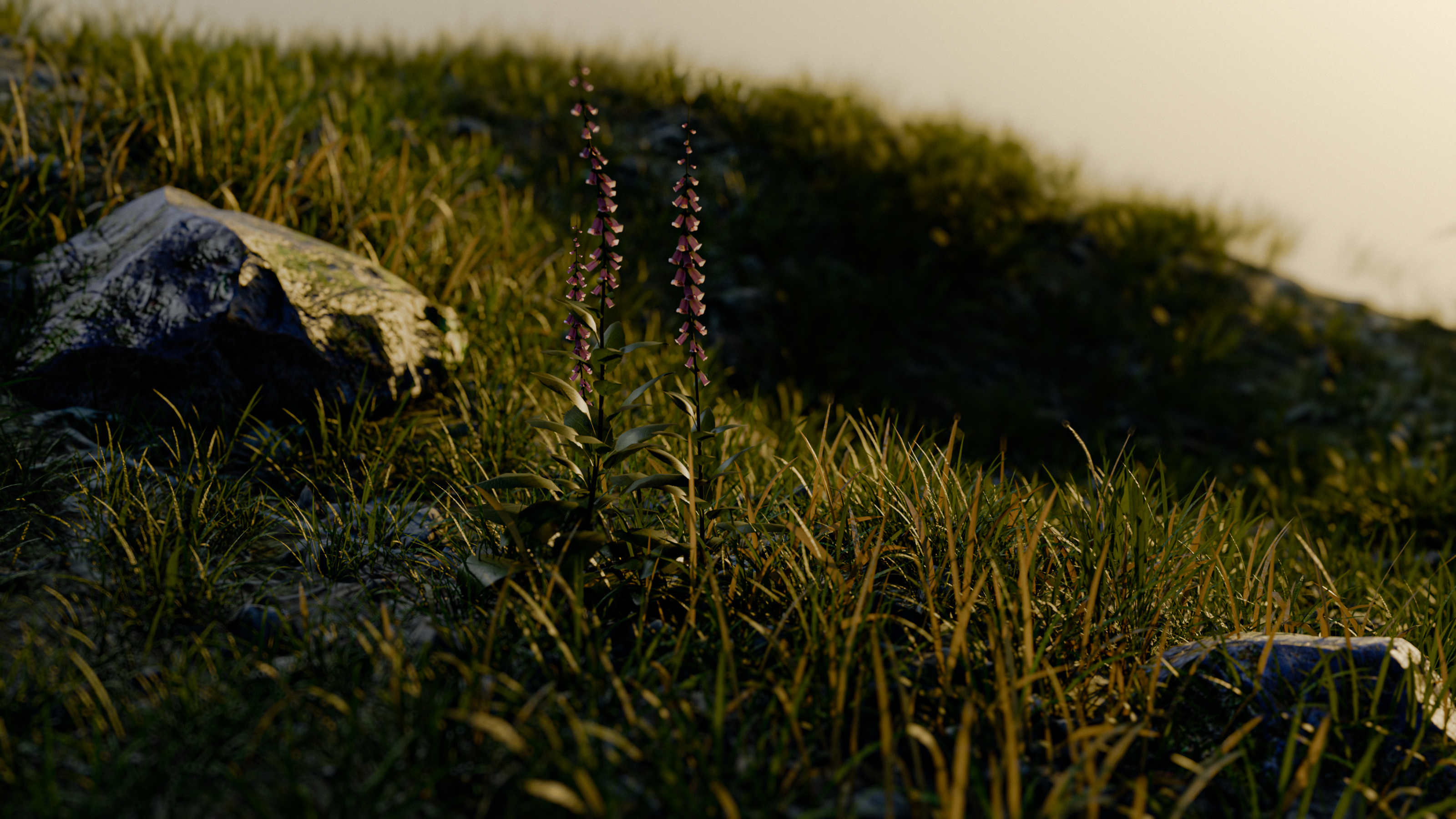 Nature — Изображение №3 — 3D на Dprofile