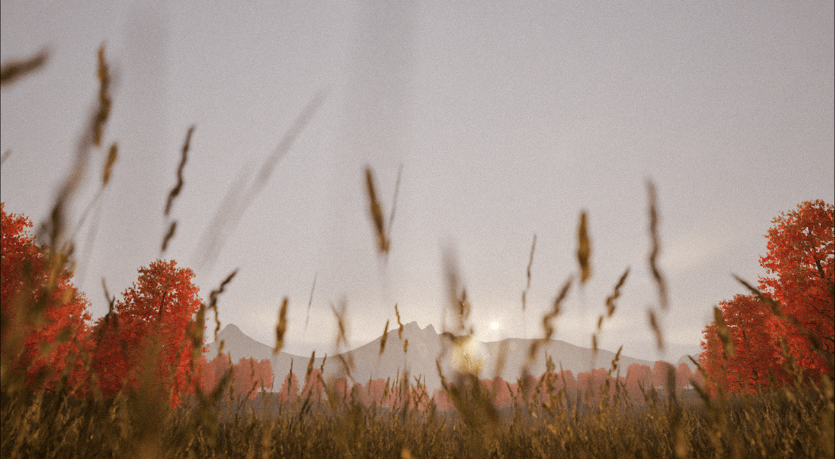 Forest — Изображение №7 — 3D, Анимация на Dprofile
