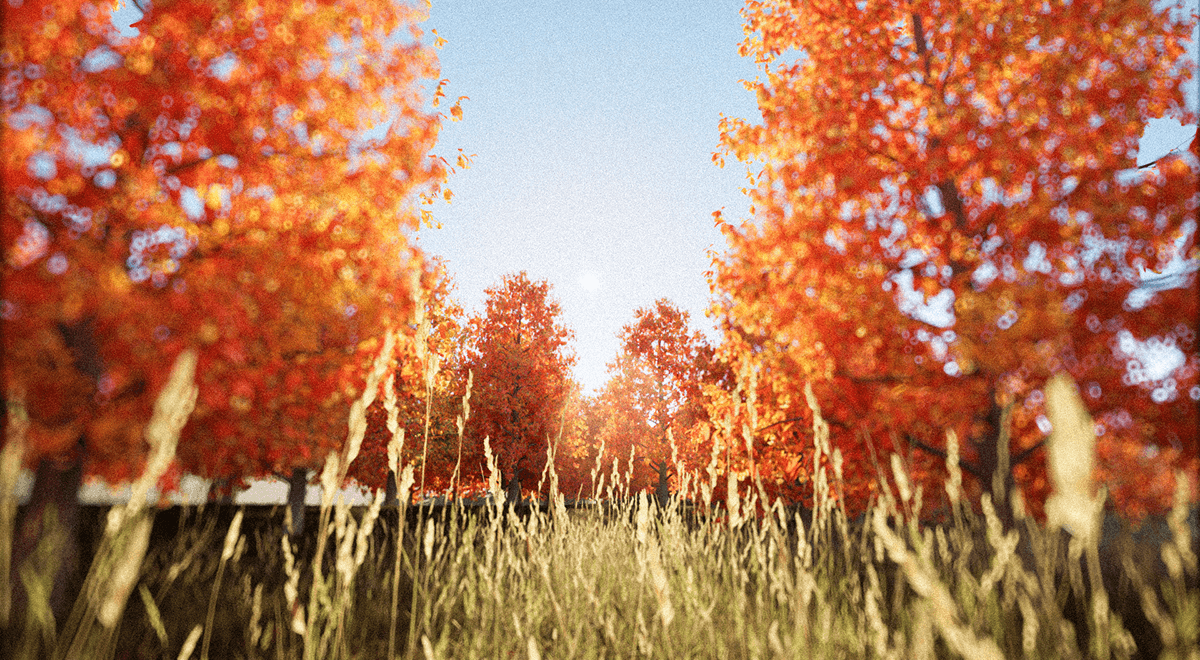 Forest — Изображение №6 — 3D, Анимация на Dprofile