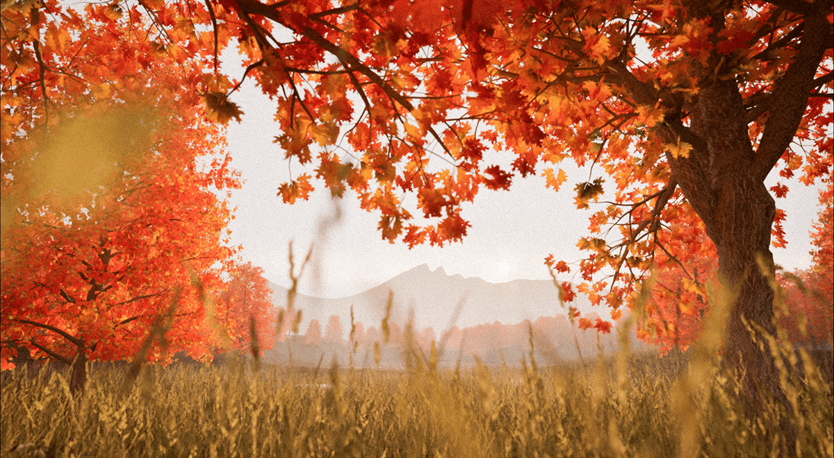 Forest — Изображение №2 — 3D, Анимация на Dprofile