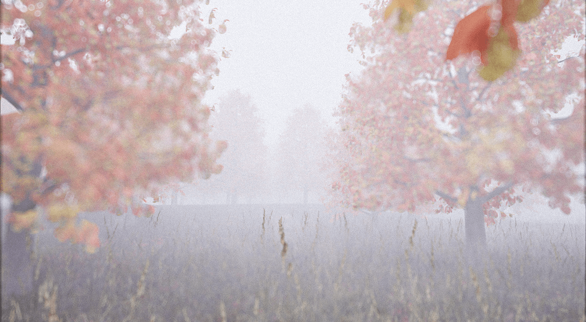 Forest — Изображение №3 — 3D, Анимация на Dprofile