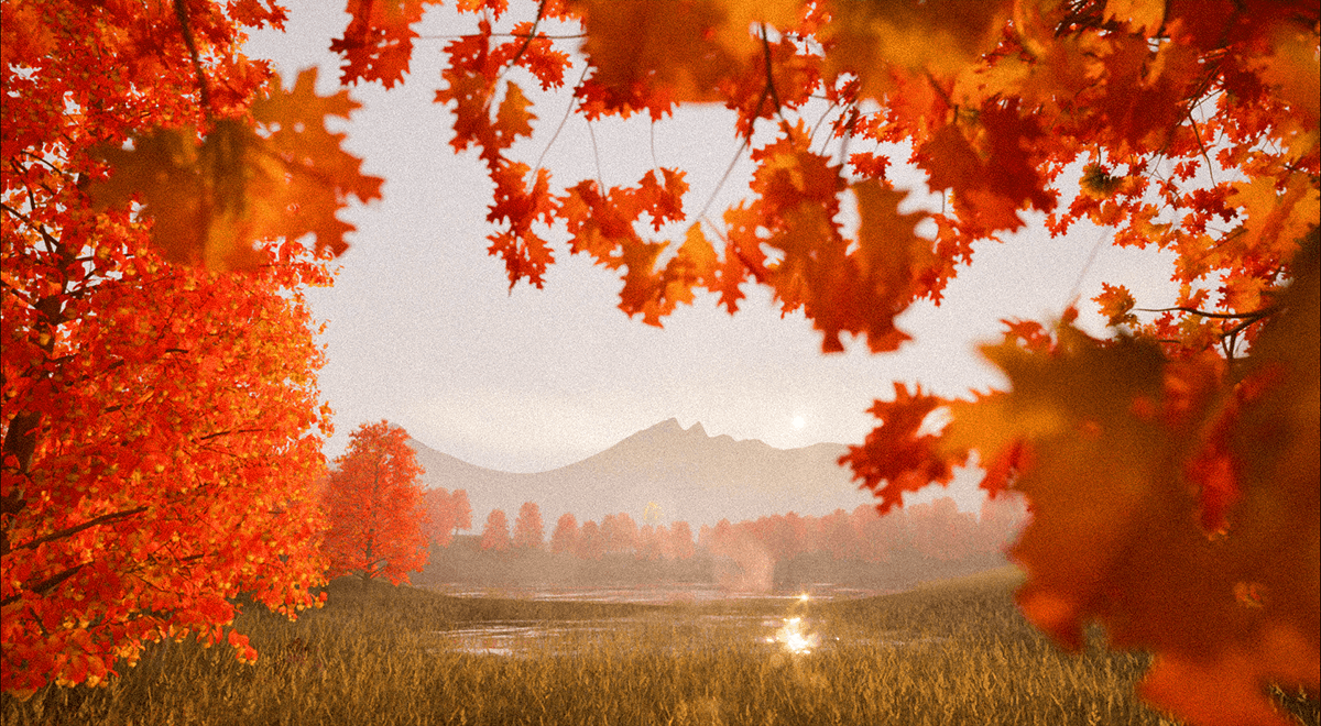 Forest — Изображение №8 — 3D, Анимация на Dprofile