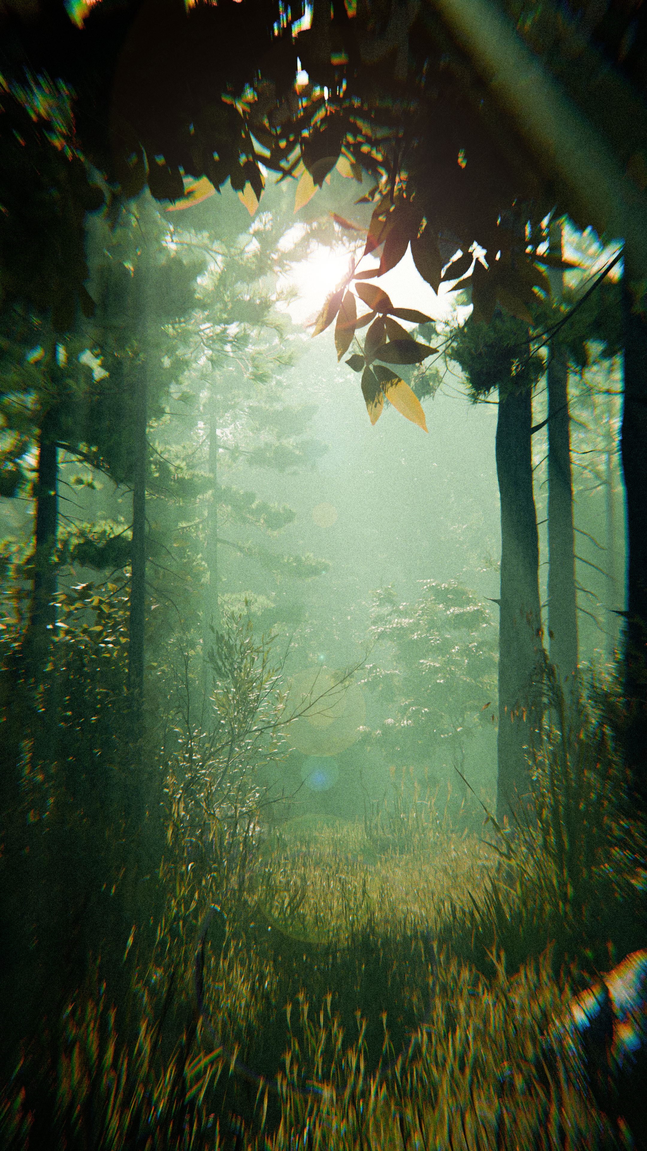 Forest — Изображение №1 — Анимация на Dprofile