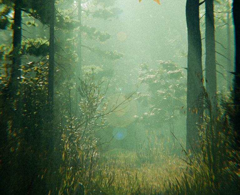 Forest на Dprofile