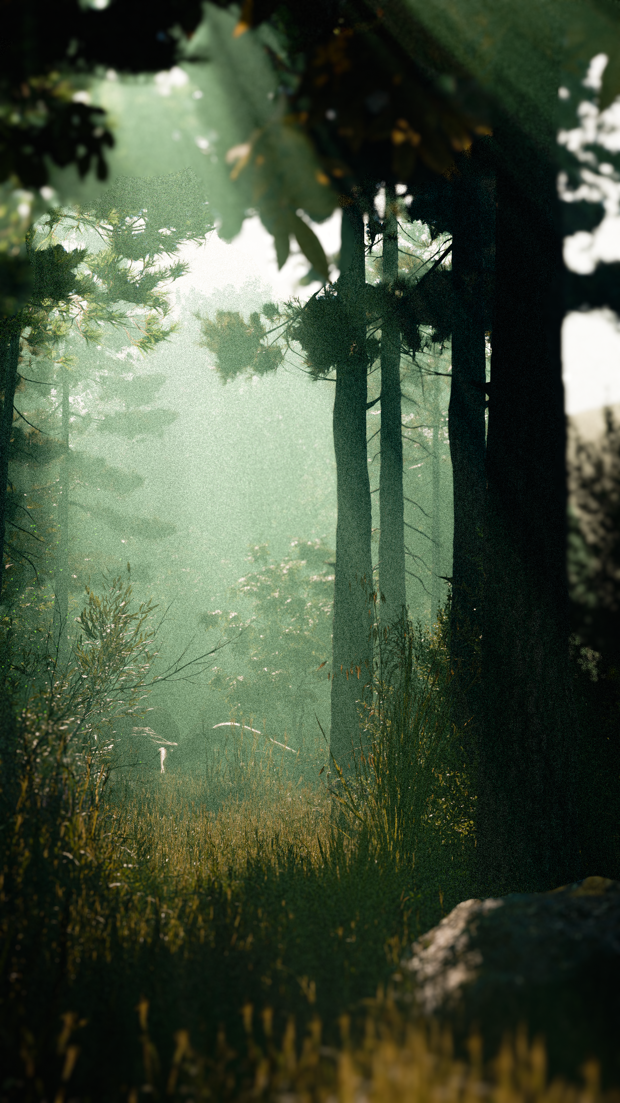 Forest — Изображение №3 — Анимация на Dprofile