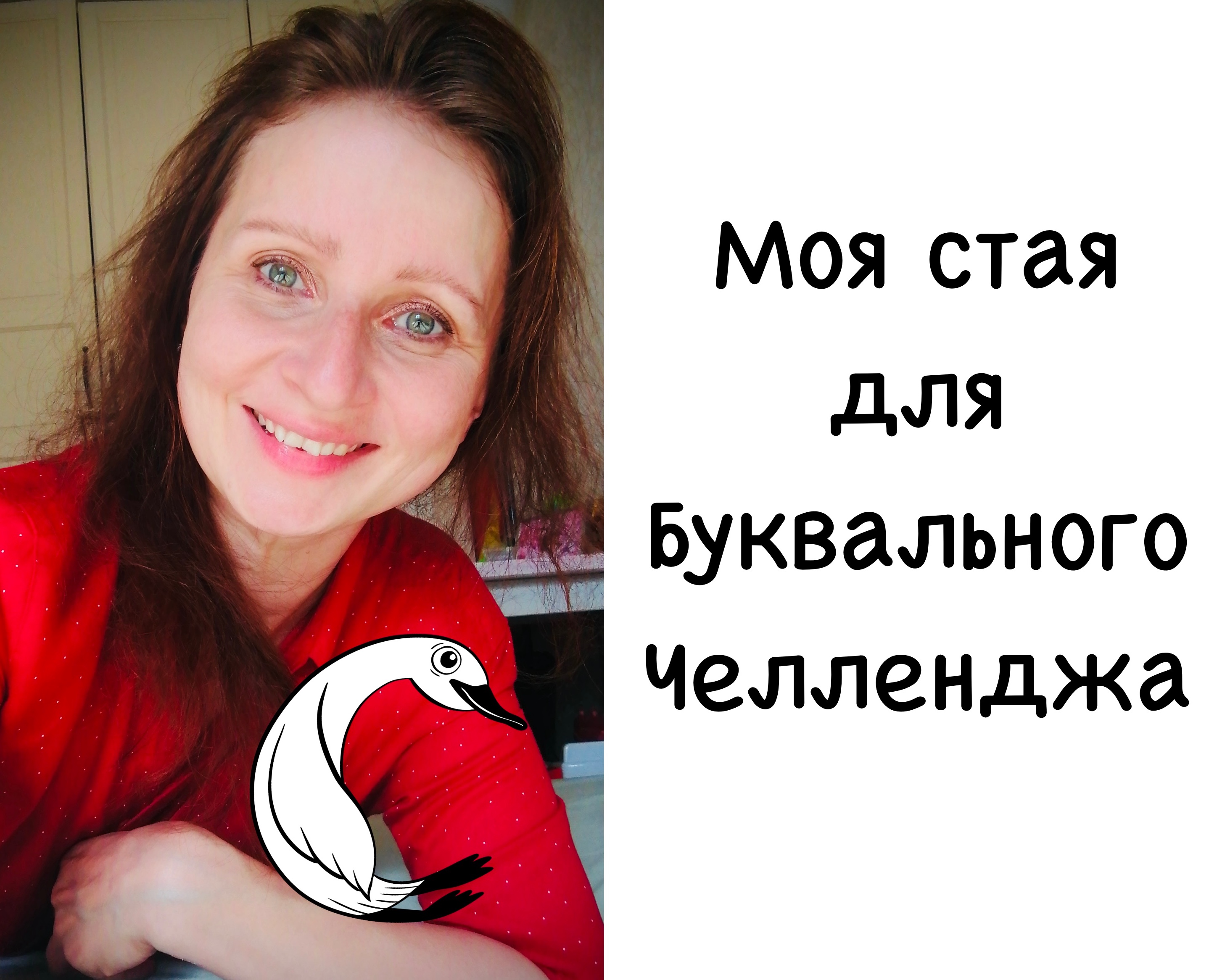 Собрала Стаю на Dprofile