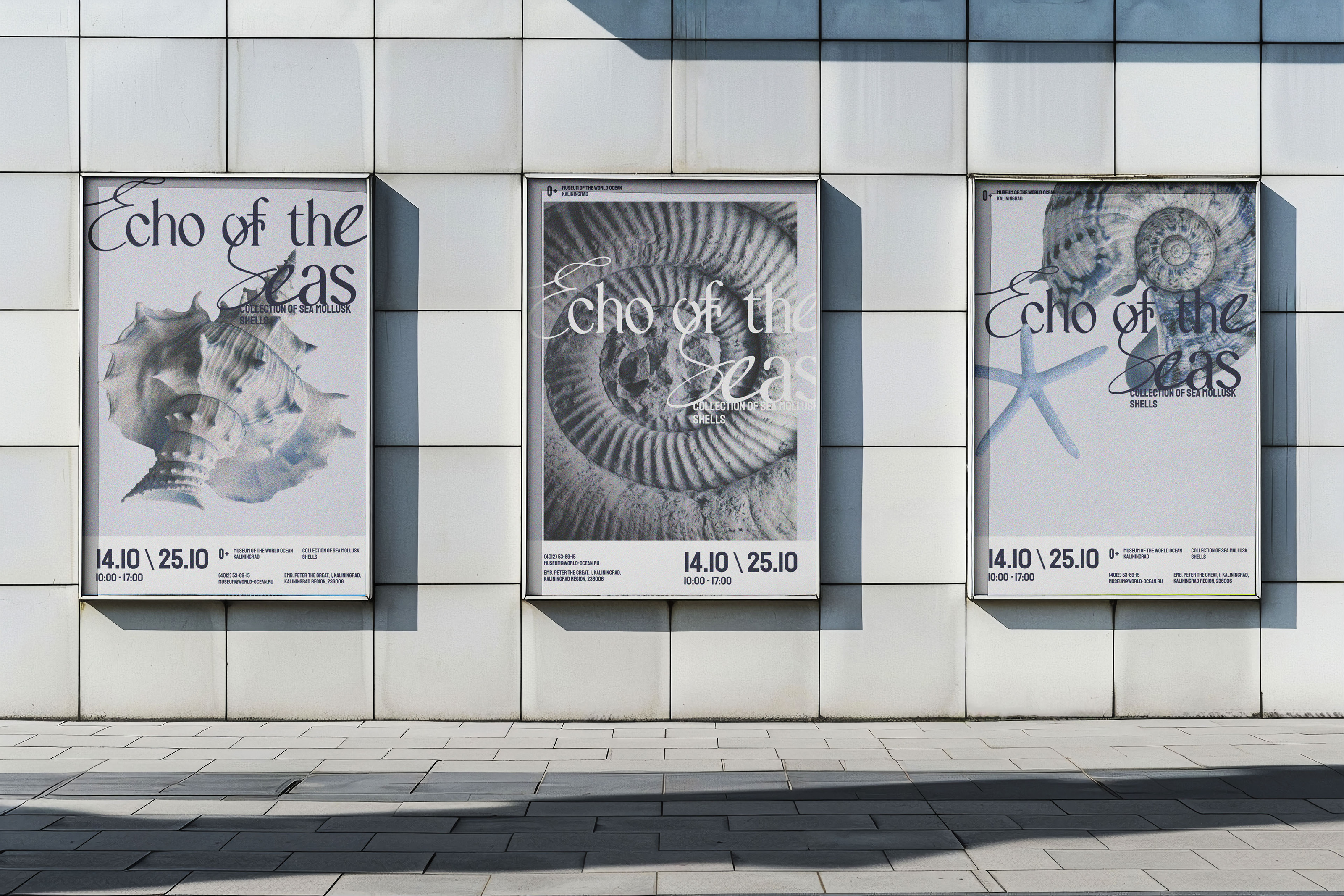 Posters and brochures for the museum | concept — Изображение №7 — Брендинг на Dprofile