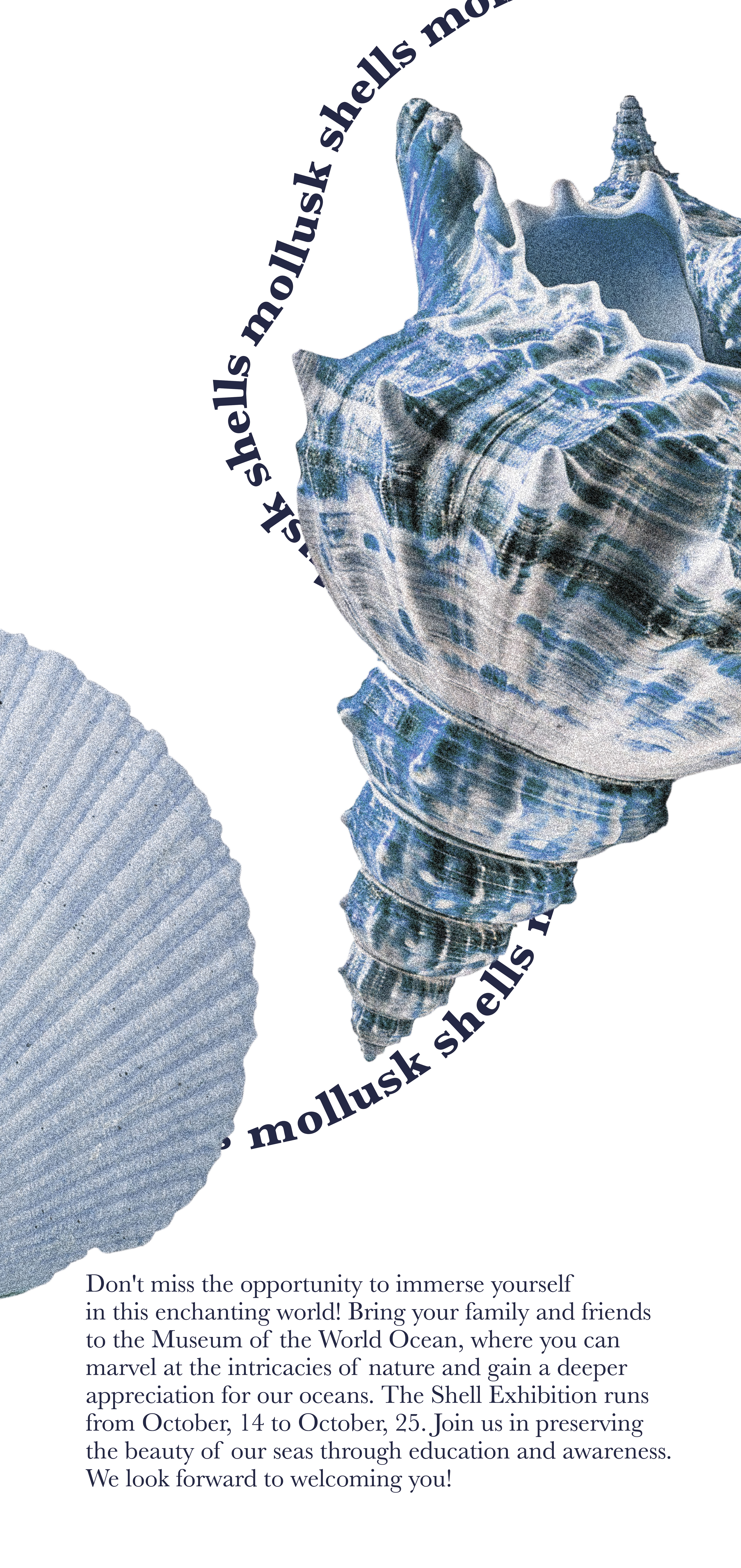 Posters and brochures for the museum | concept — Изображение №17 — Брендинг на Dprofile