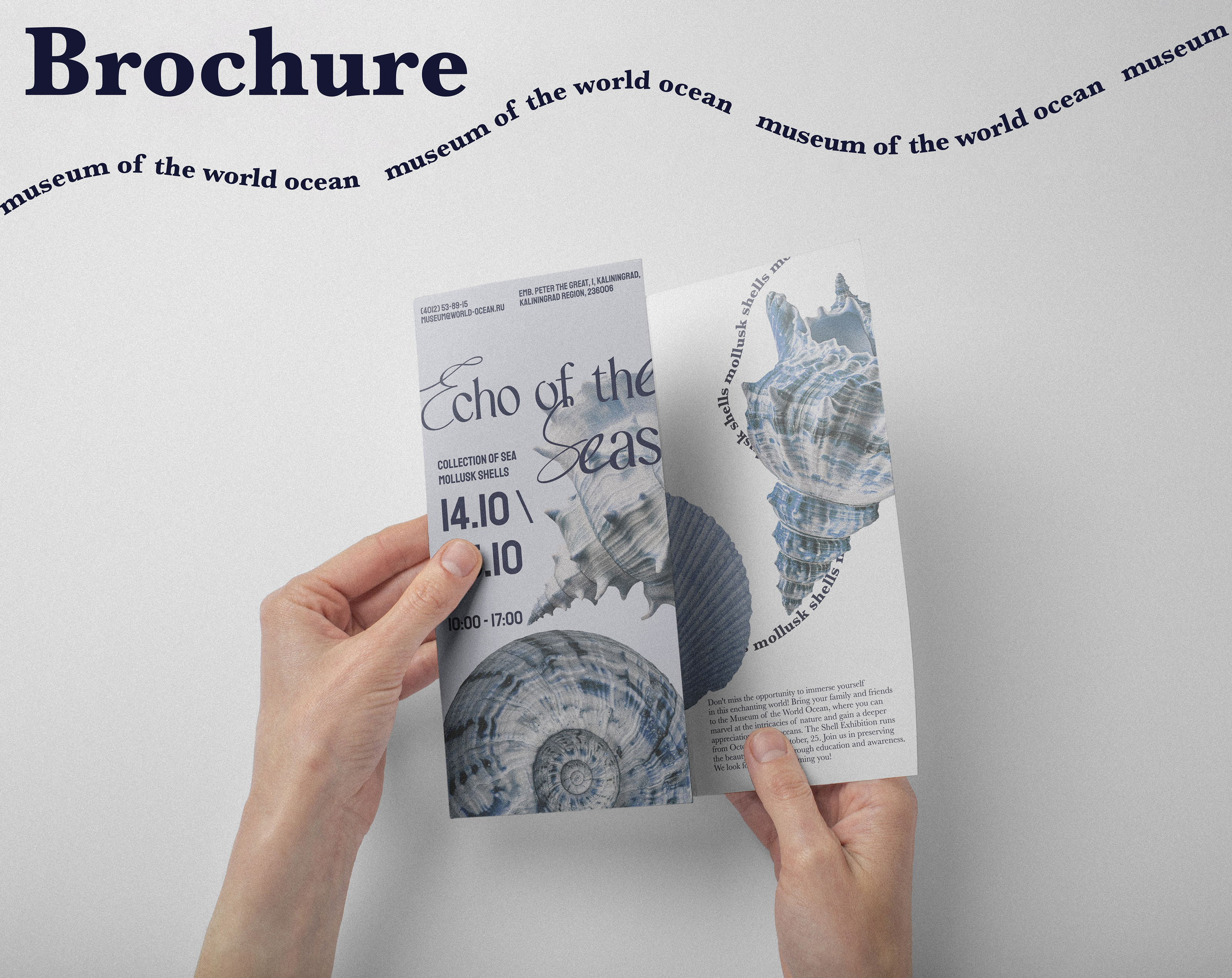Posters and brochures for the museum | concept — Изображение №14 — Брендинг на Dprofile