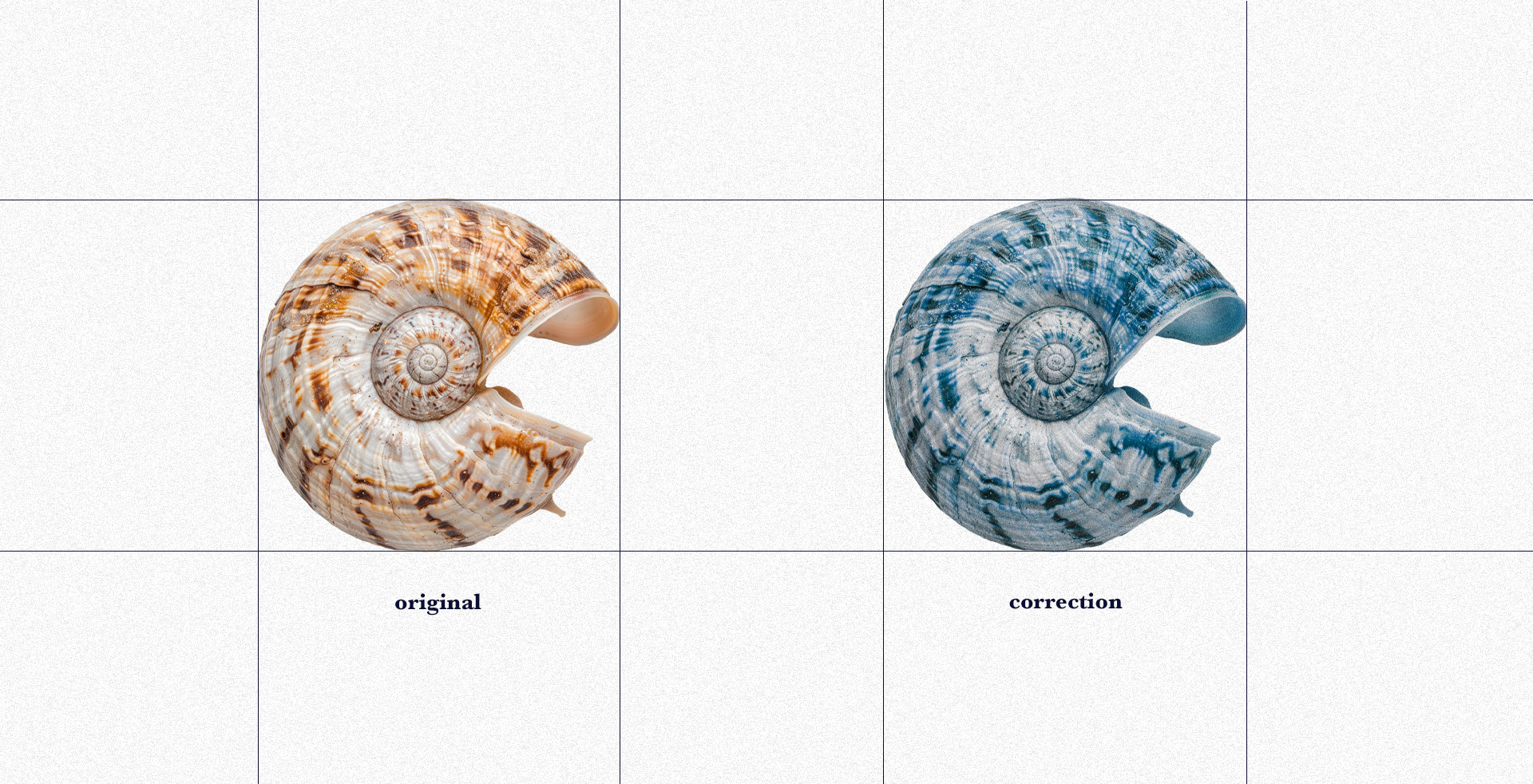 Posters and brochures for the museum | concept — Изображение №13 — Брендинг на Dprofile