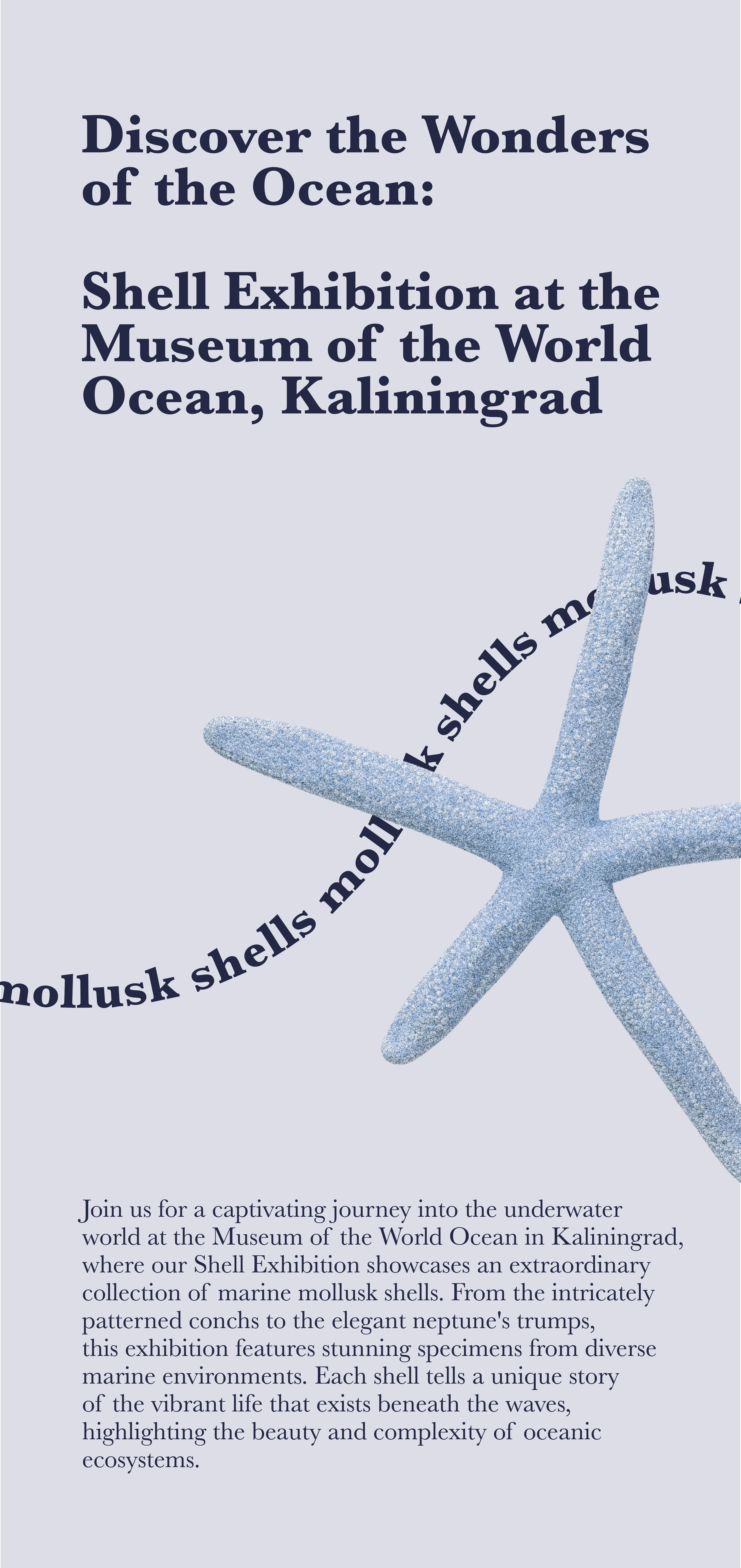 Posters and brochures for the museum | concept — Изображение №15 — Брендинг на Dprofile