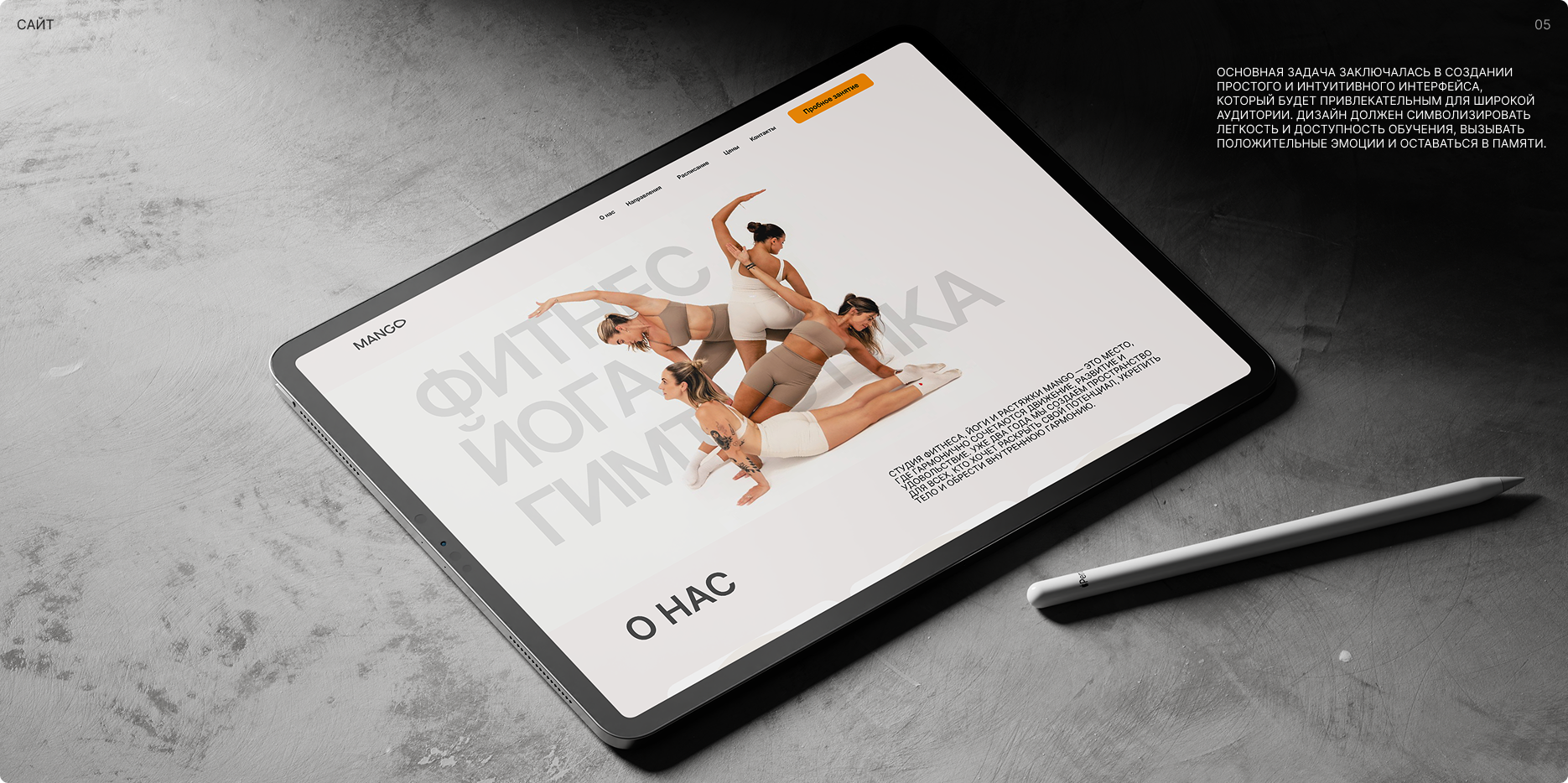 Mango scandi — Изображение №11 — Интерфейсы, Брендинг на Dprofile