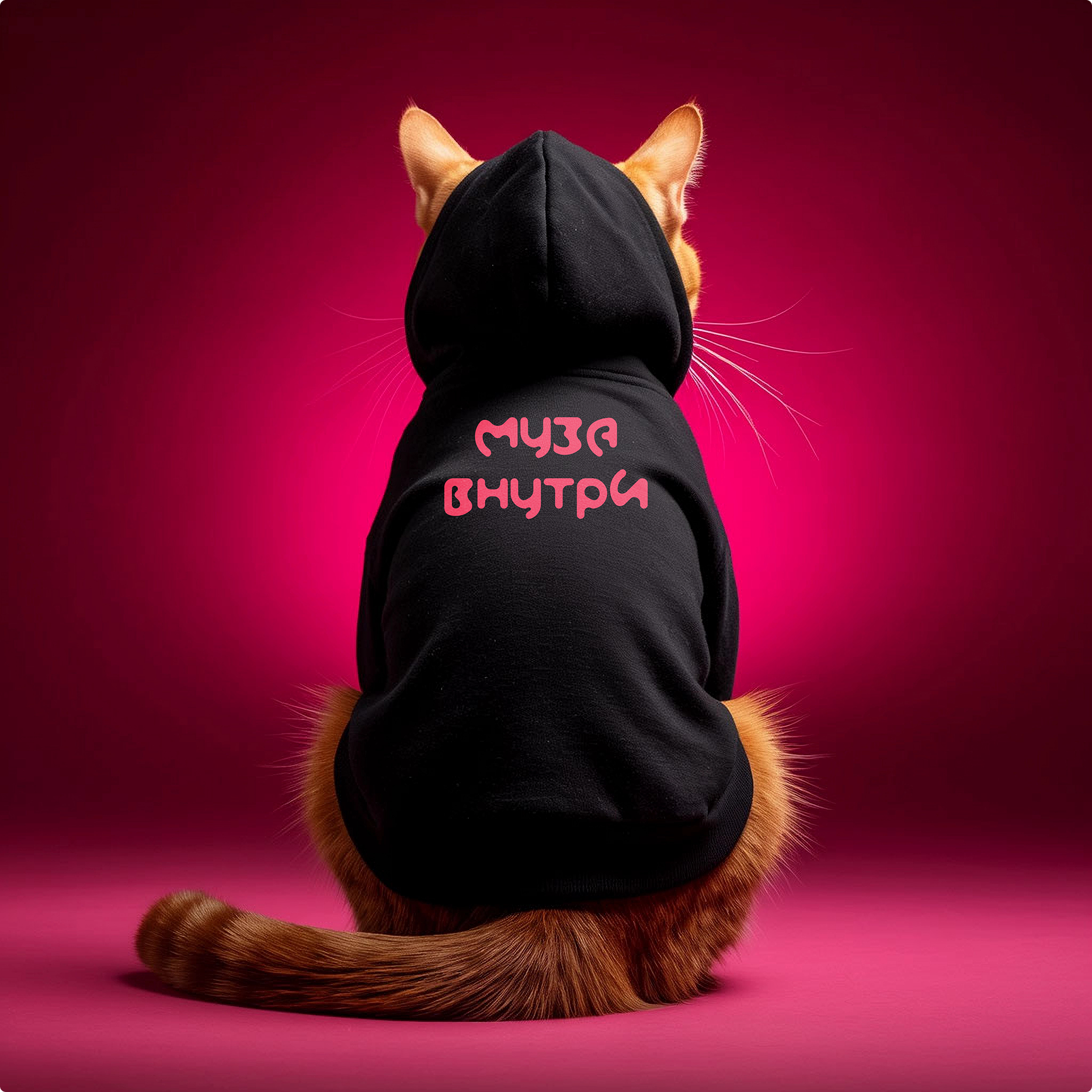 Муза звукозаписывающий лейбл — Изображение №12 — Брендинг на Dprofile