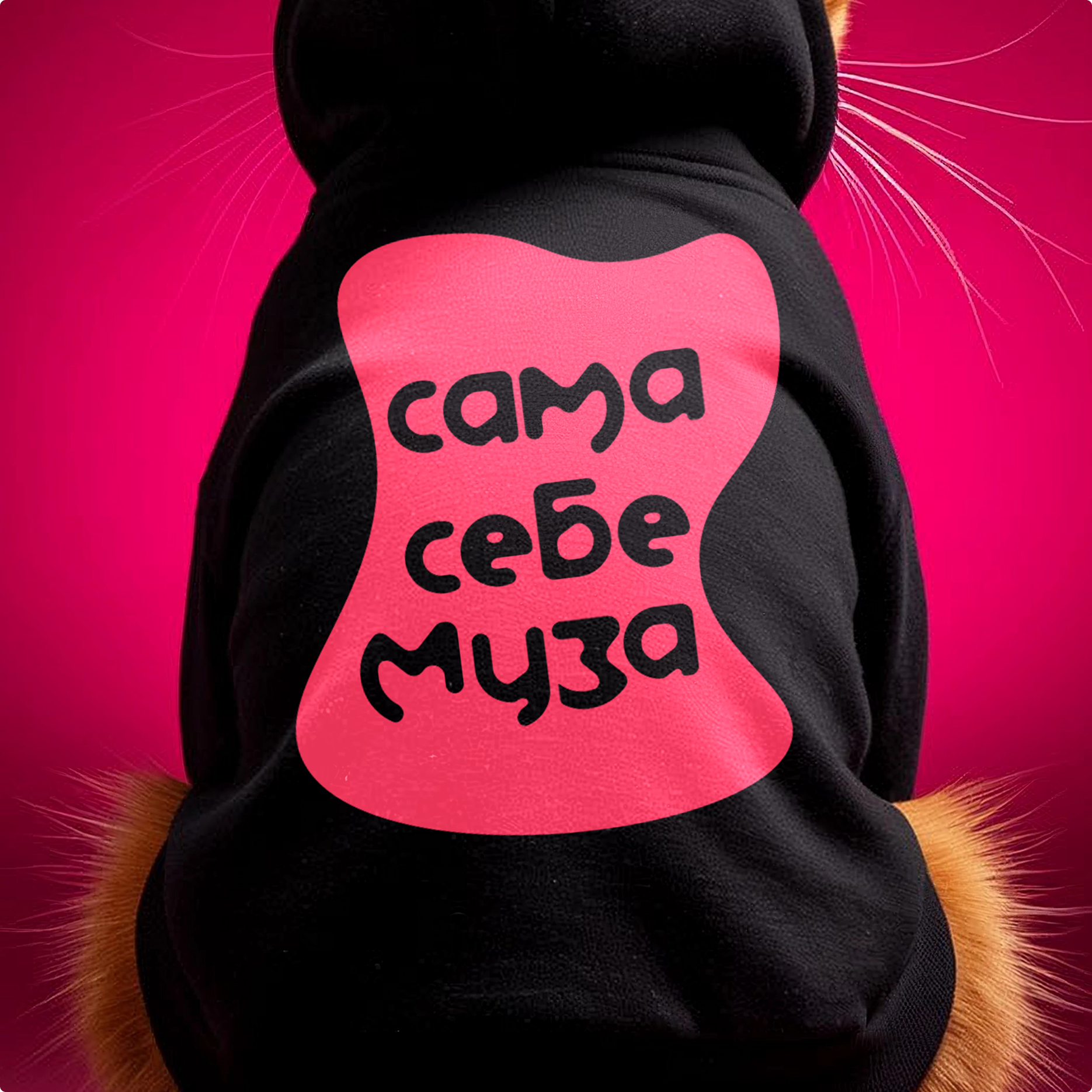 Муза звукозаписывающий лейбл — Изображение №14 — Брендинг на Dprofile