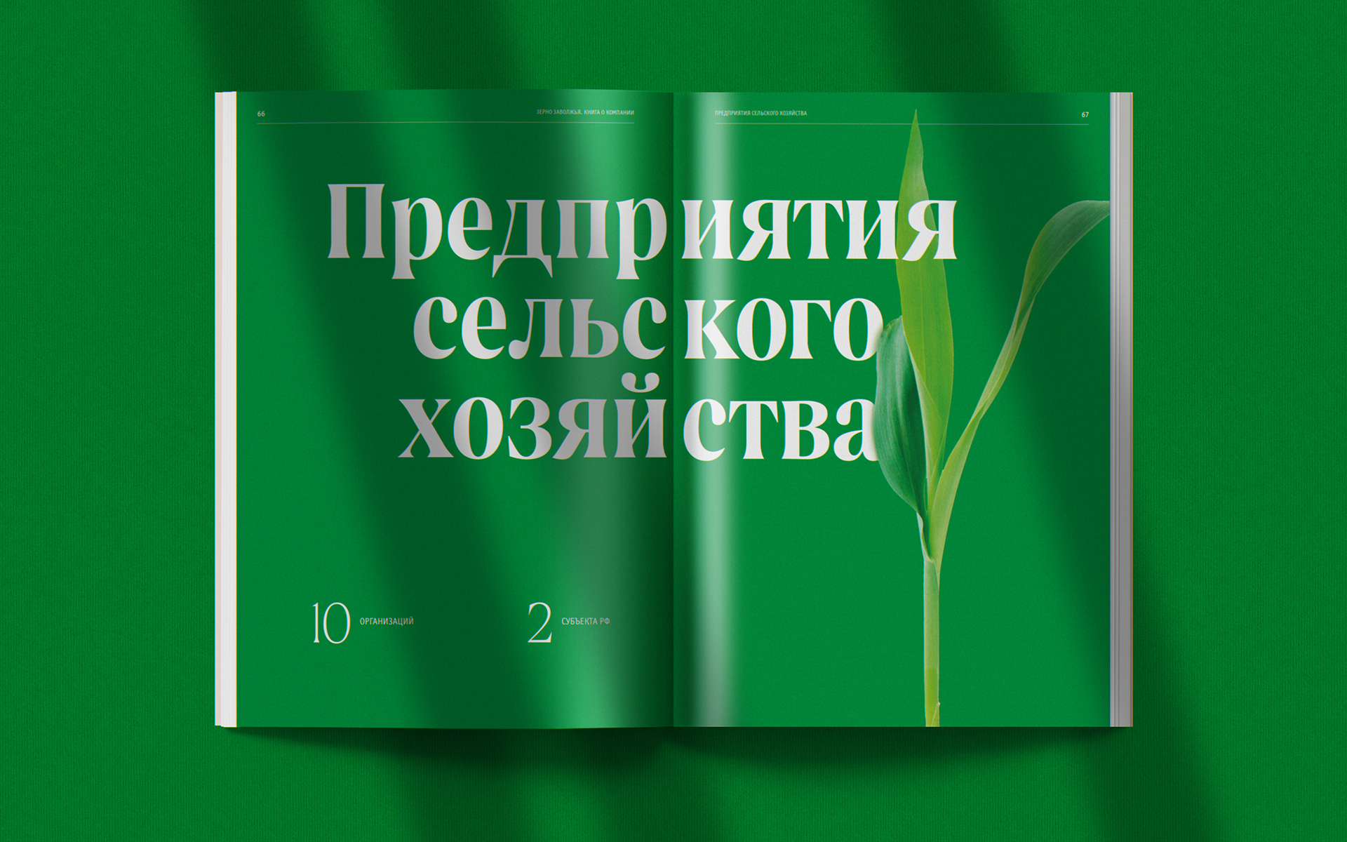Зерно Заволжья – Книга о компании — Изображение №23 — Графика на Dprofile