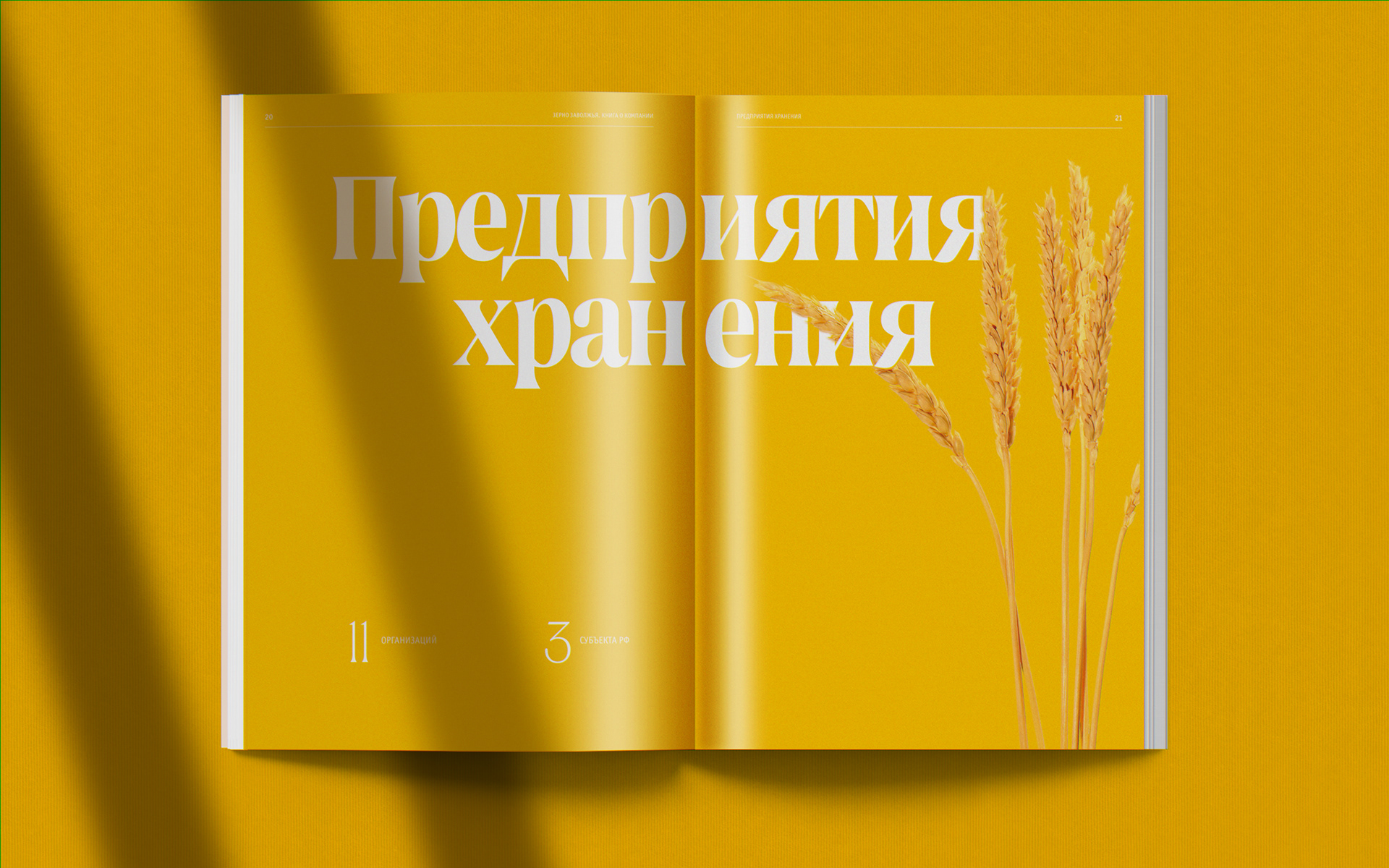 Зерно Заволжья – Книга о компании — Изображение №11 — Графика на Dprofile