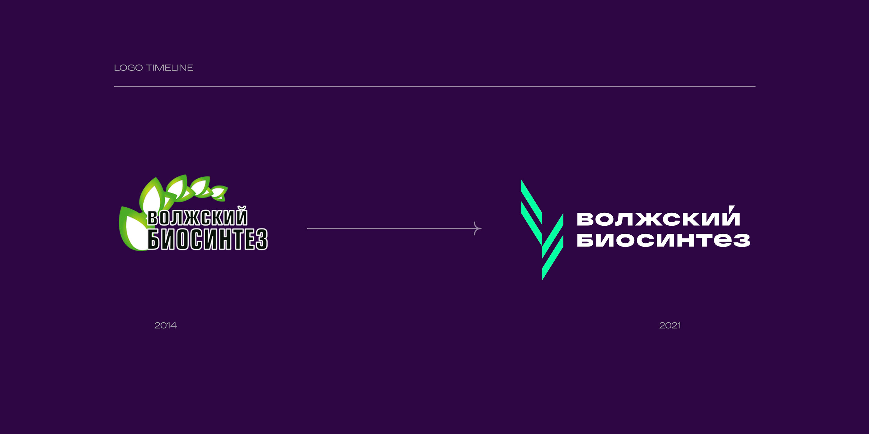 Волжский Биосинтез — Изображение №3 — Брендинг на Dprofile