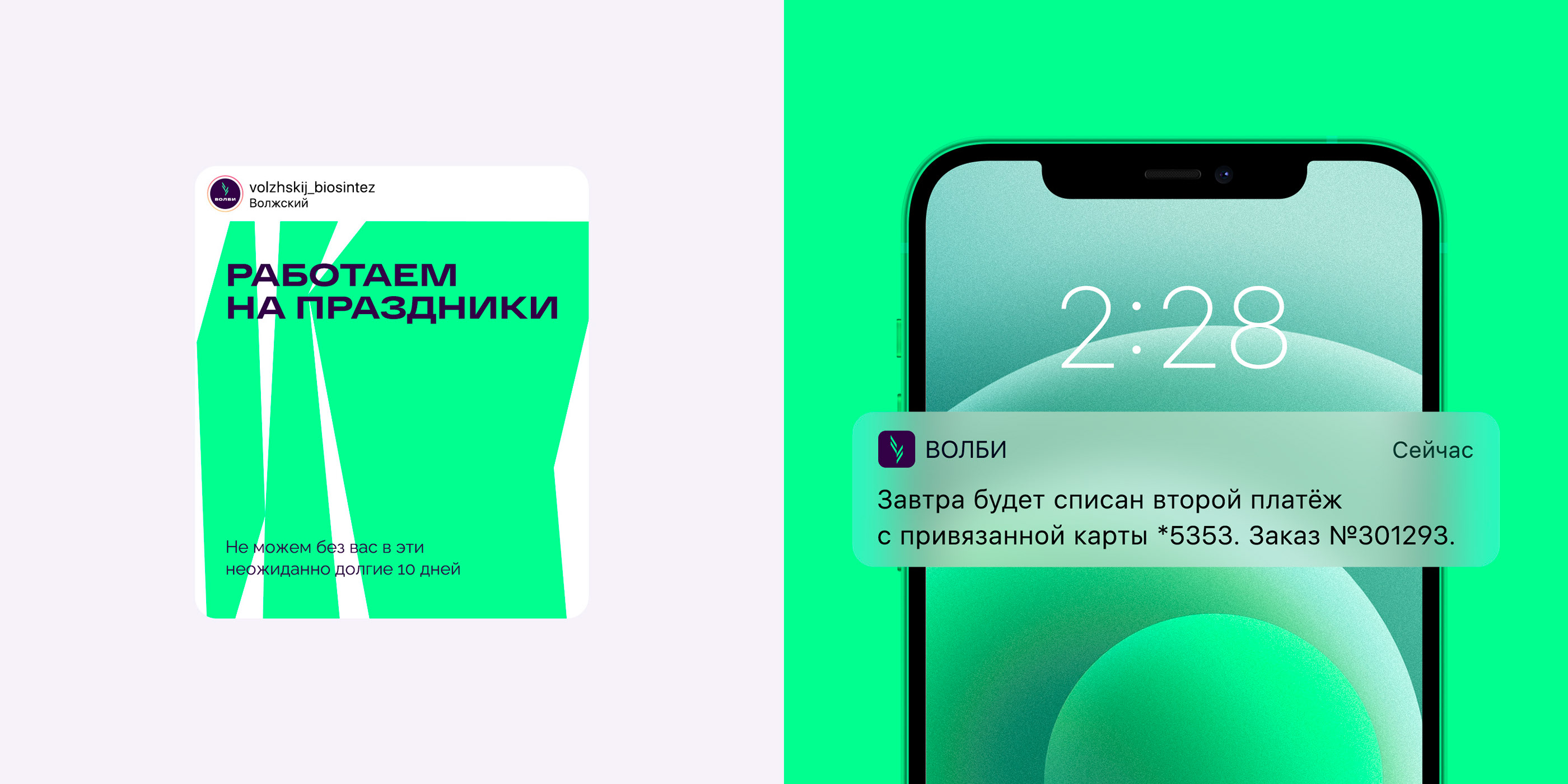 Волжский Биосинтез — Изображение №10 — Брендинг на Dprofile