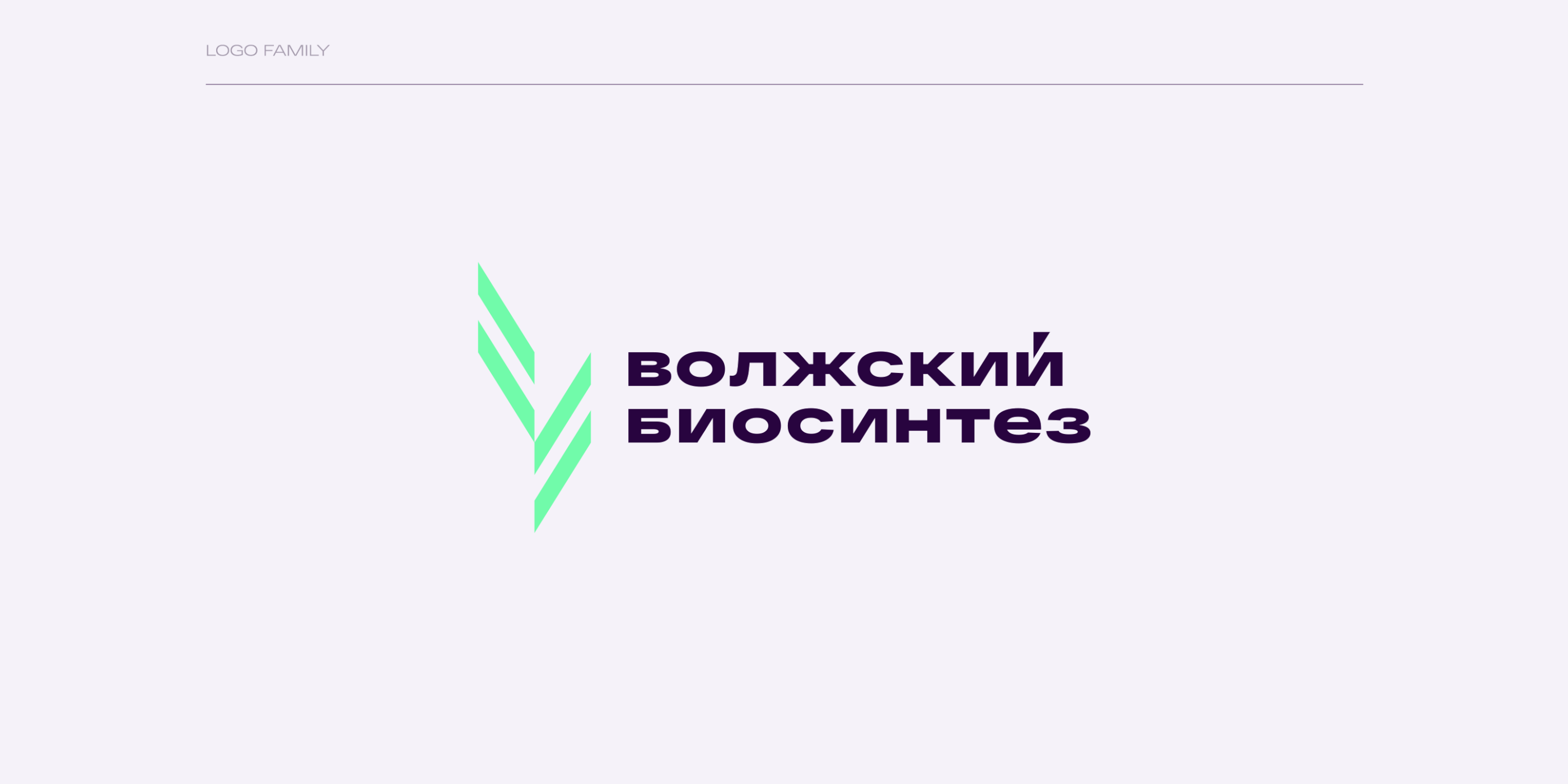 Волжский Биосинтез — Изображение №2 — Брендинг на Dprofile