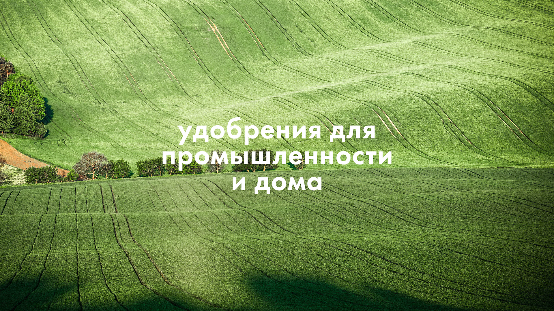 Кас Агро Групп — Изображение №3 — Брендинг на Dprofile