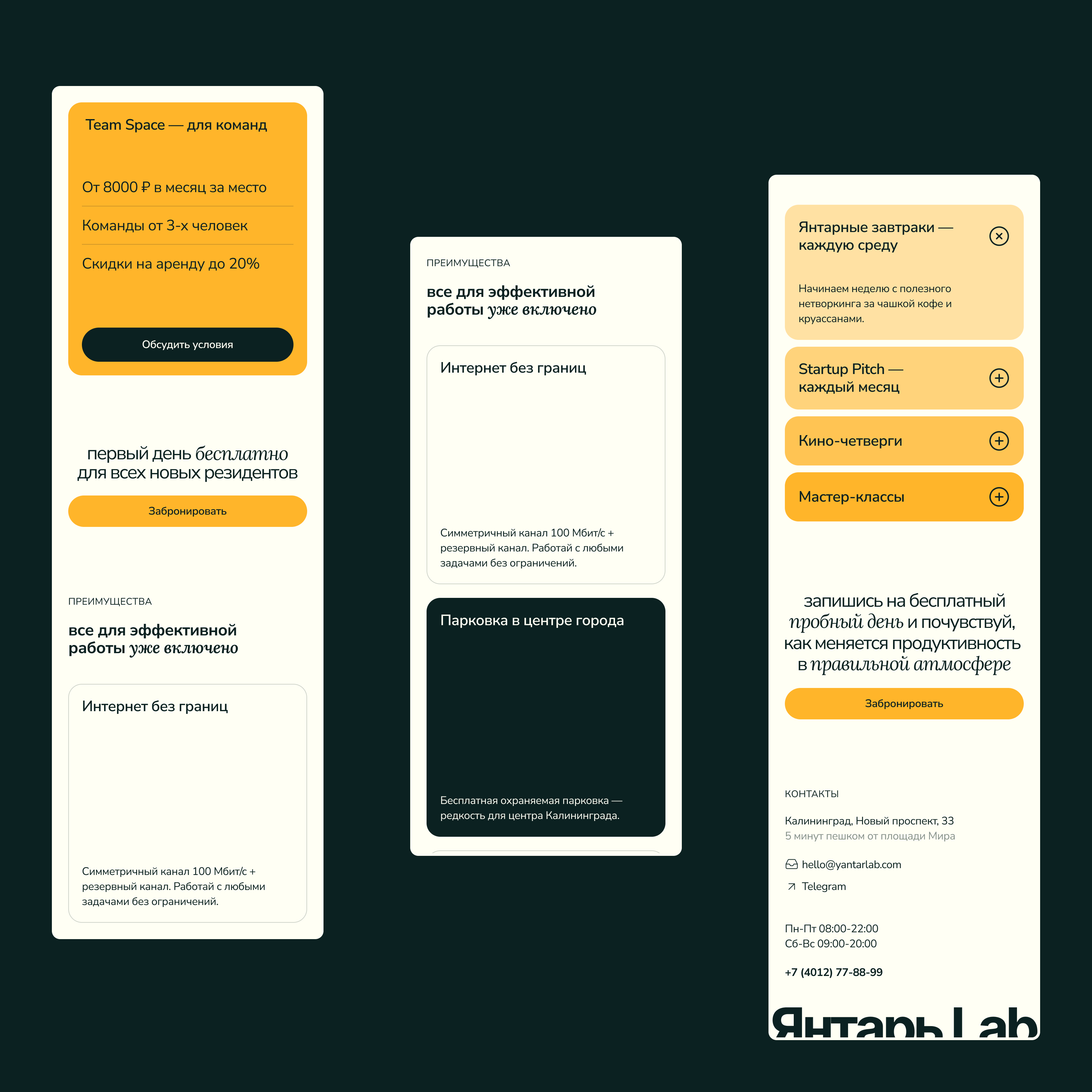 Янтарь Lab | Лендинг для коворкинга — Изображение №11 — Интерфейсы на Dprofile