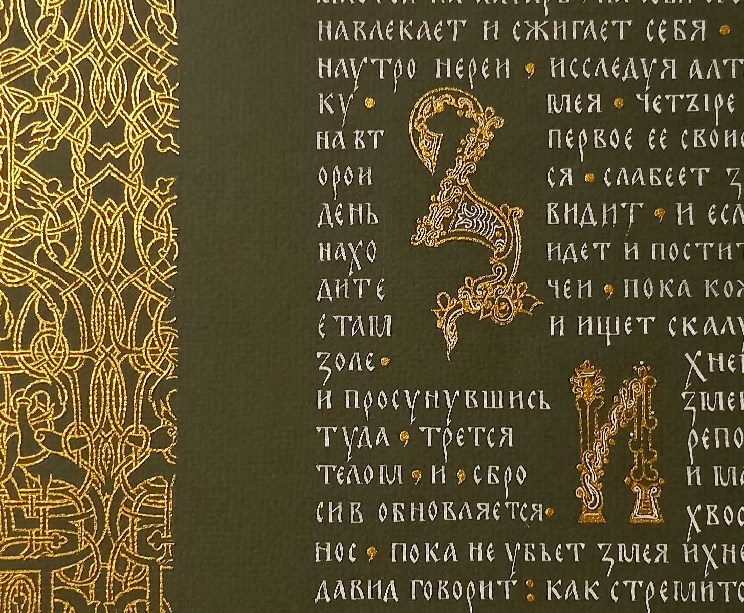 Физиолог — Изображение №5 — Иллюстрация, Графика на Dprofile