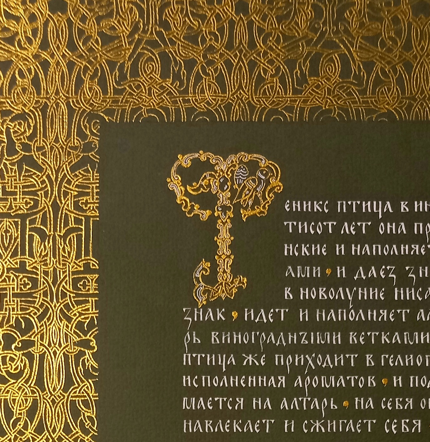 Физиолог — Изображение №2 — Иллюстрация, Графика на Dprofile