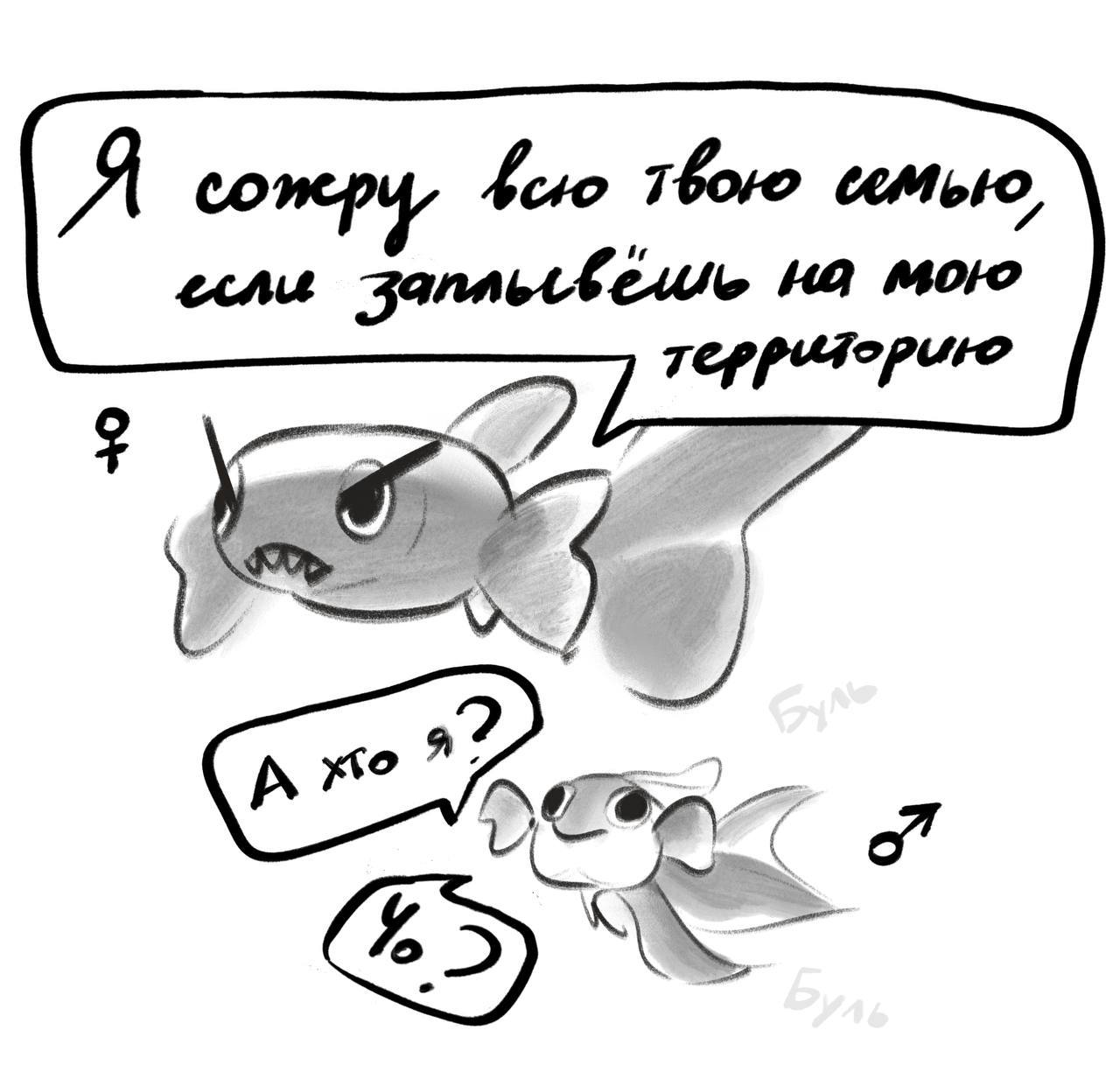 Рыбные иллюстрации — Изображение №4 — Иллюстрация на Dprofile