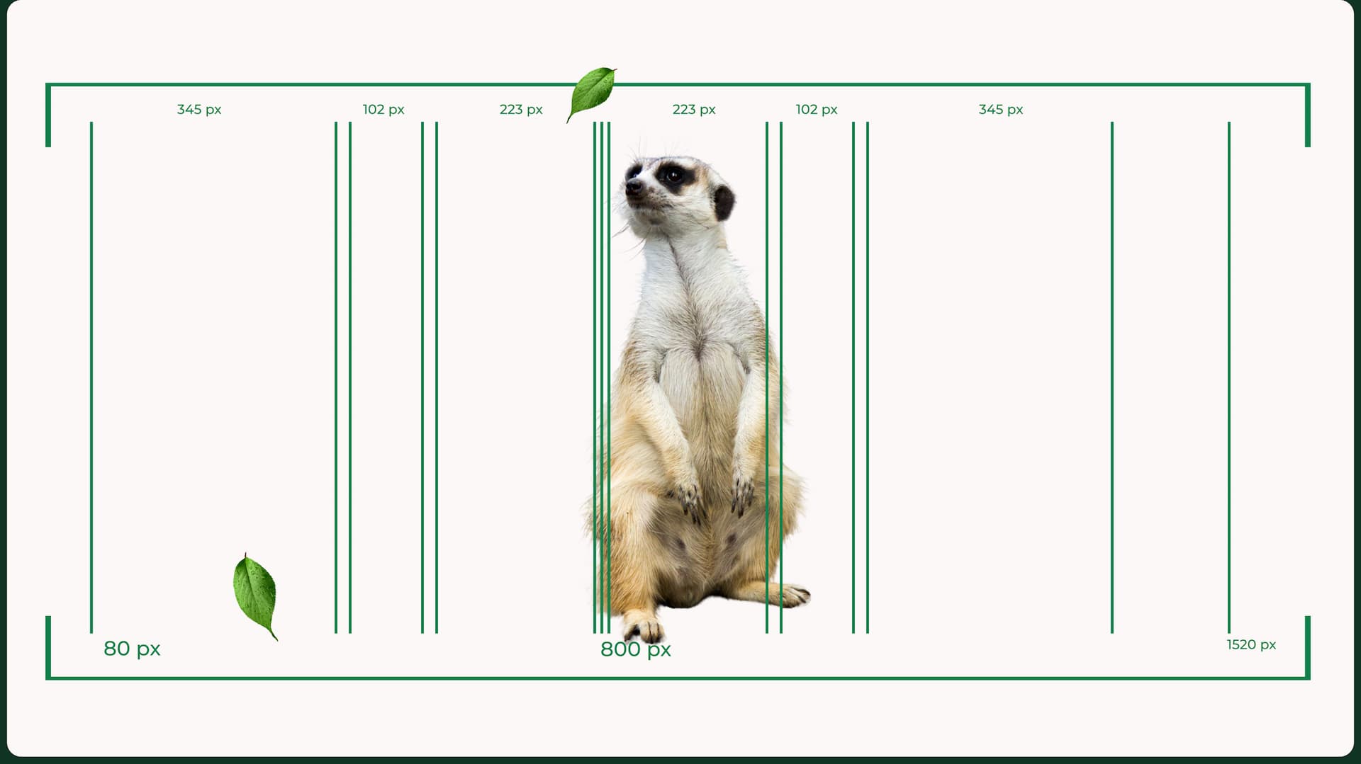 landing page World Wildlife Fund — Изображение №4 — Интерфейсы на Dprofile
