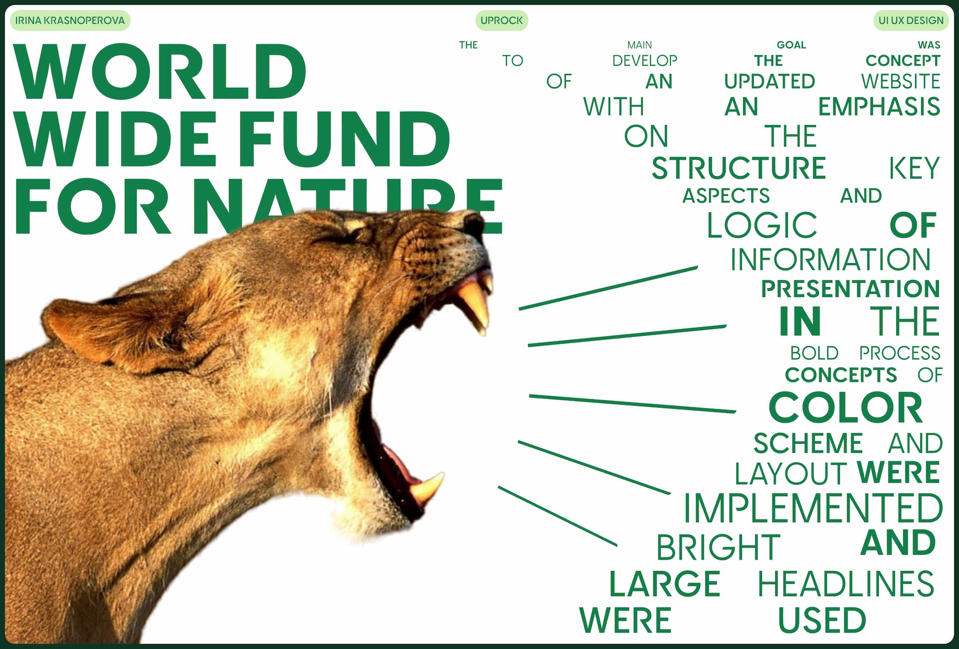 landing page World Wildlife Fund — Изображение №1 — Интерфейсы на Dprofile