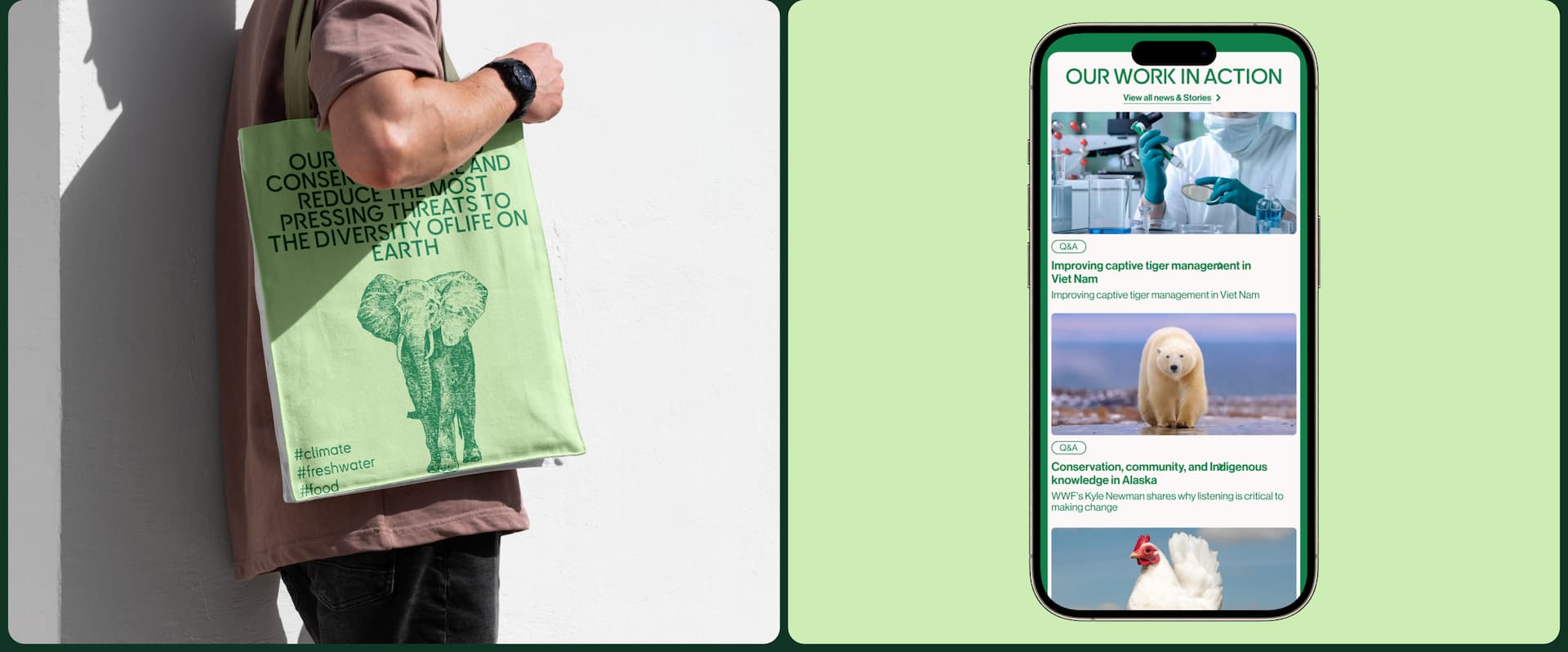 landing page World Wildlife Fund — Изображение №6 — Интерфейсы на Dprofile