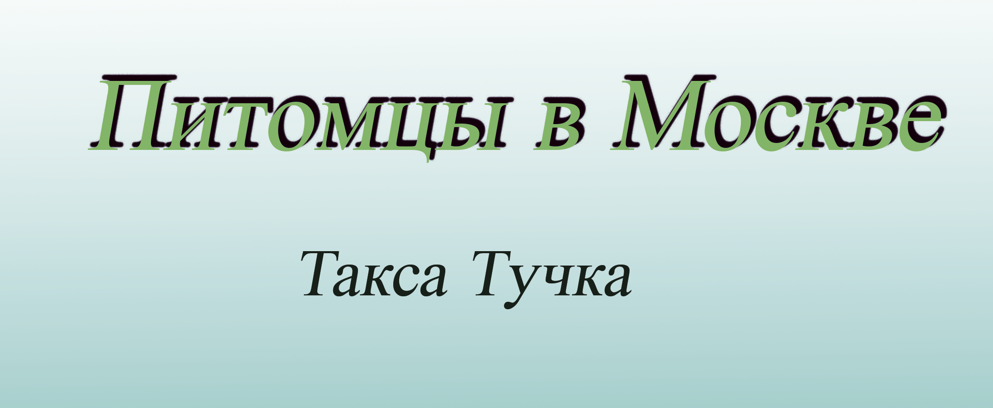 ПИТОМЦЫ В МОСКВЕ. ТАКСА ТУЧКА — Изображение №1 — Иллюстрация на Dprofile
