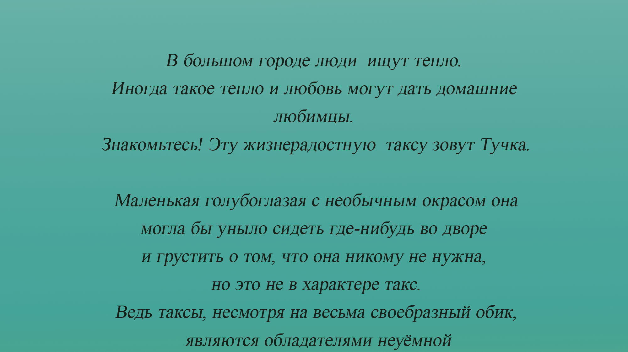 ПИТОМЦЫ В МОСКВЕ. ТАКСА ТУЧКА — Изображение №3 — Иллюстрация на Dprofile