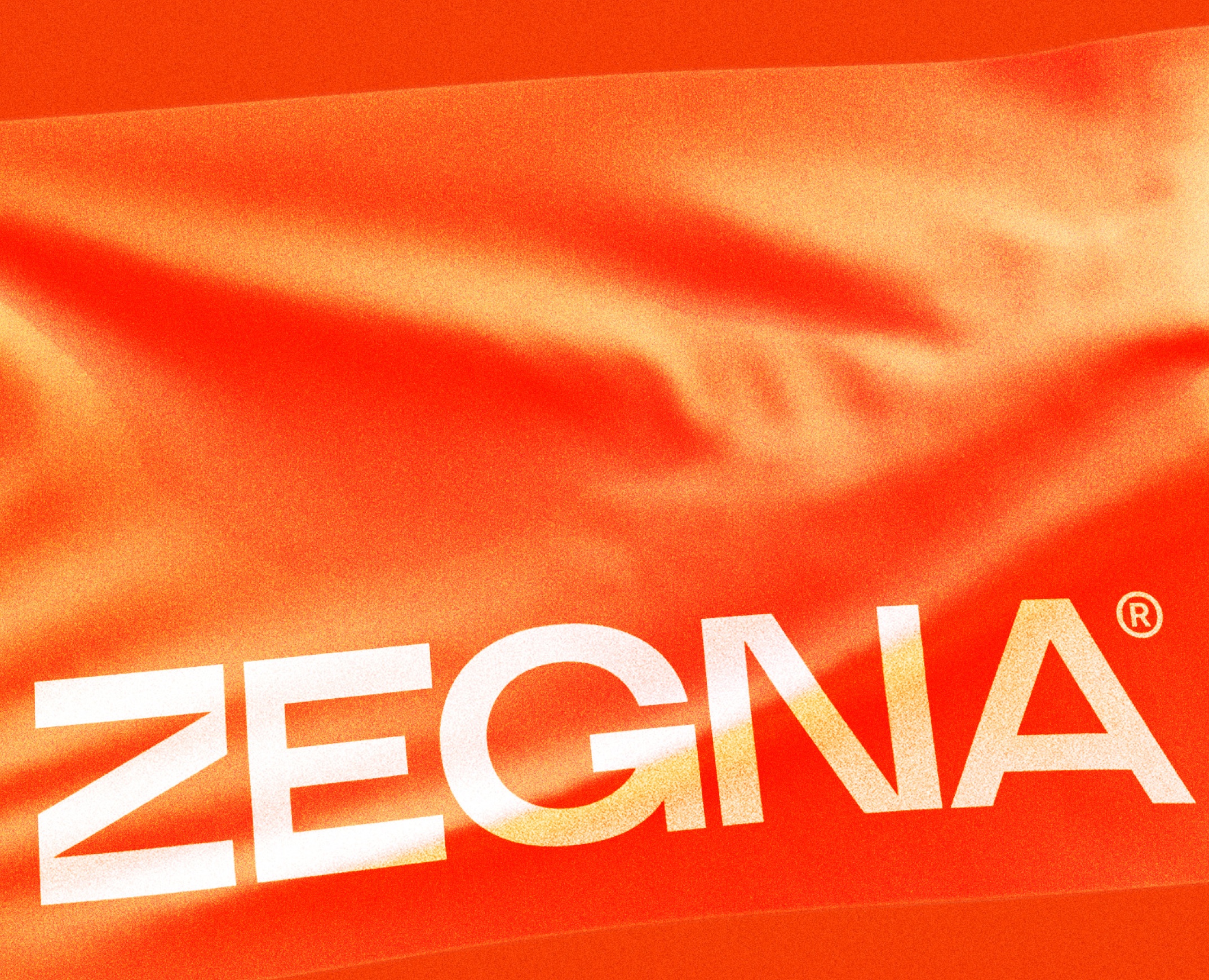 Zegna — Брендинг, Иллюстрация на Dprofile