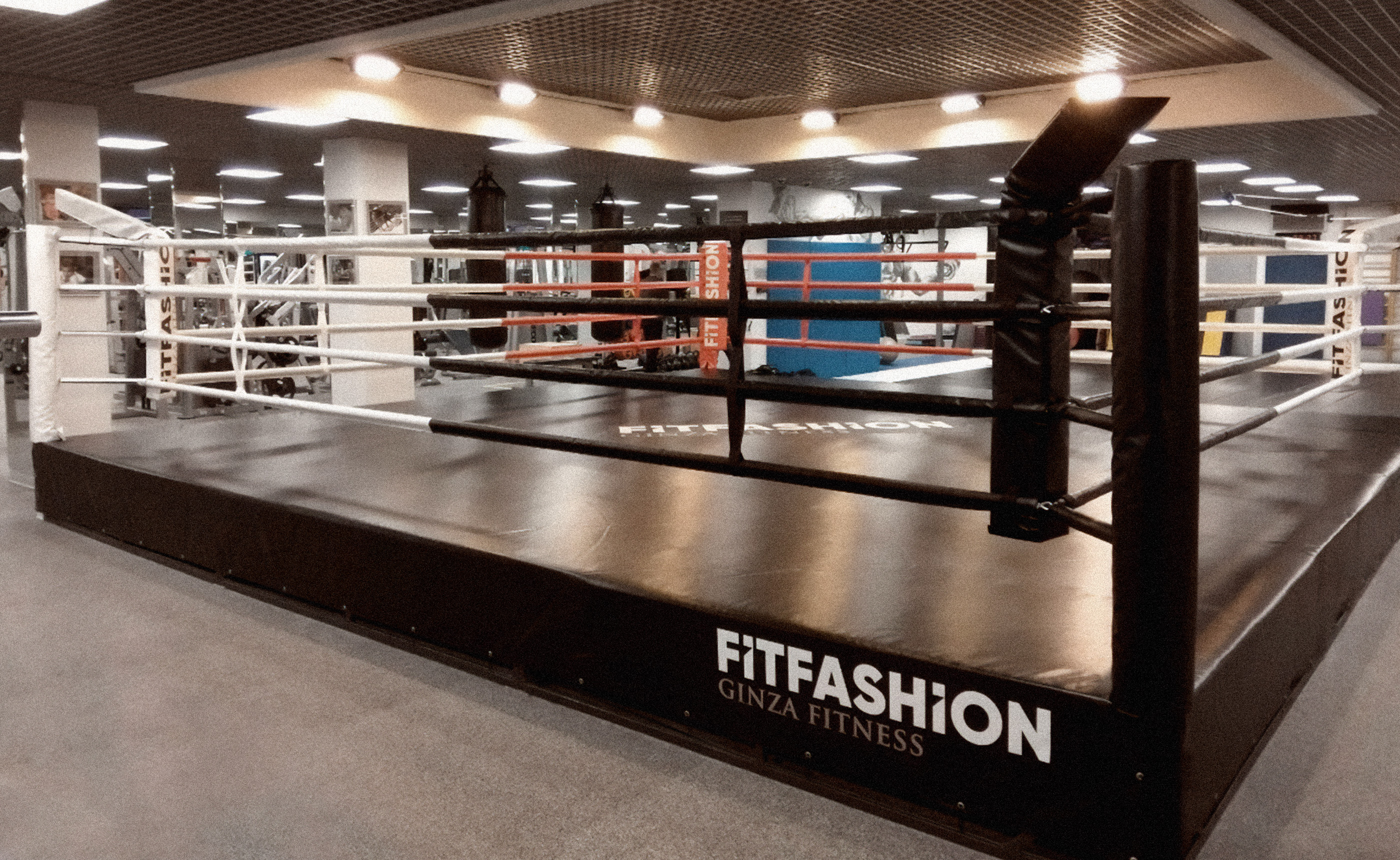 FitFashion — Изображение №37 — Брендинг на Dprofile