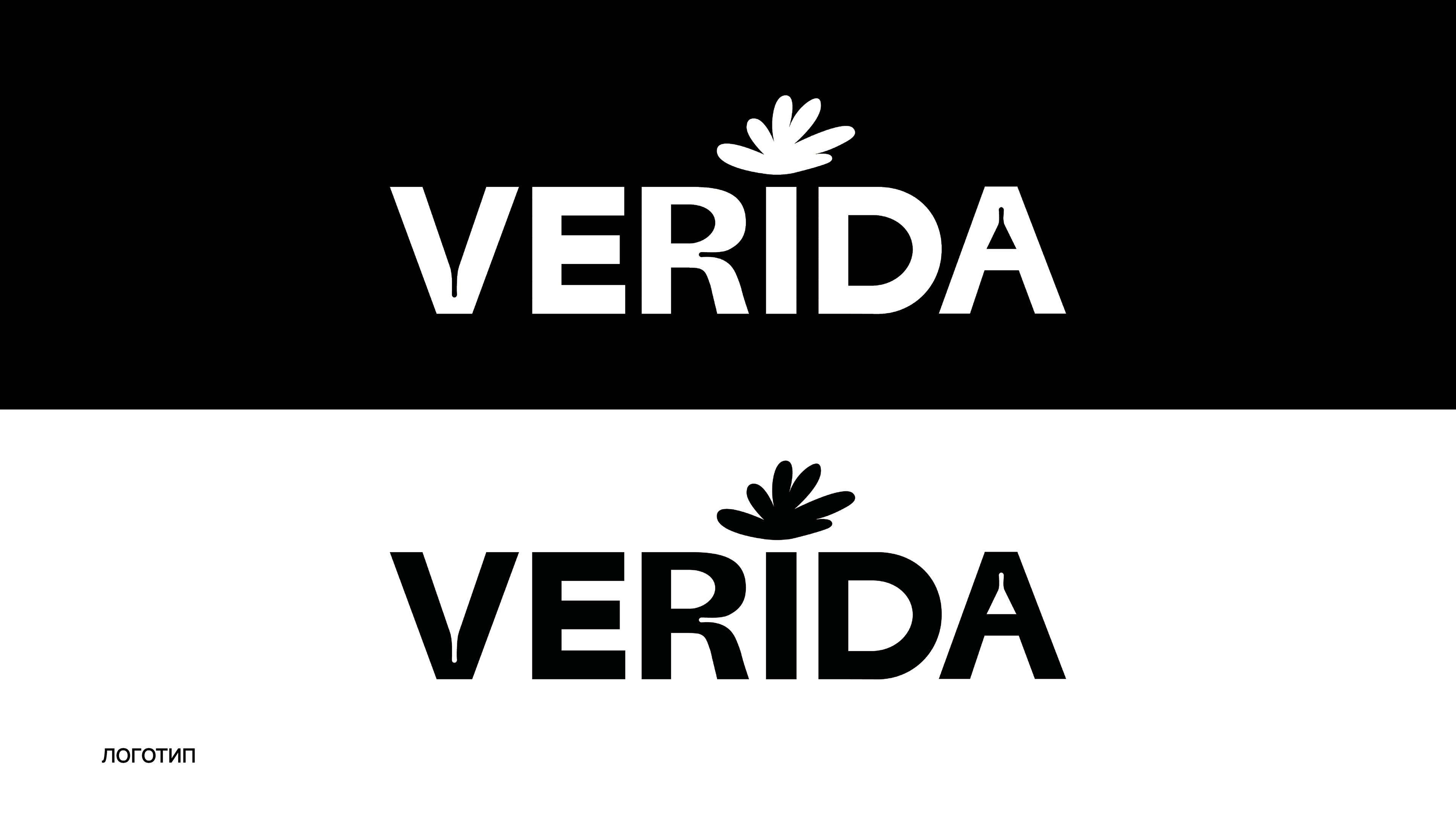 VERIDA. Бренд по уходу за растениями — Изображение №3 — Брендинг, Графика на Dprofile