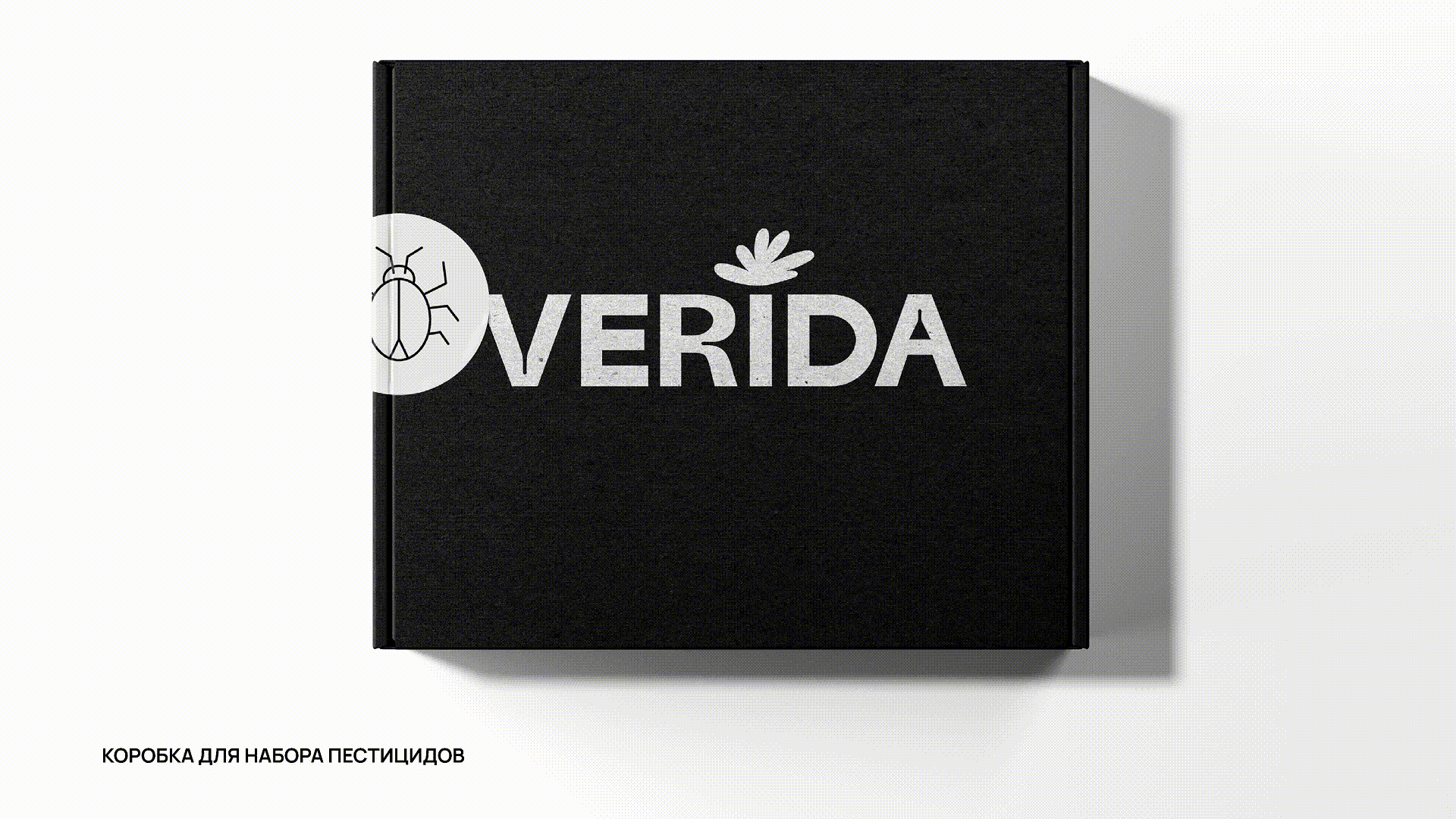 VERIDA. Бренд по уходу за растениями — Изображение №15 — Брендинг, Графика на Dprofile
